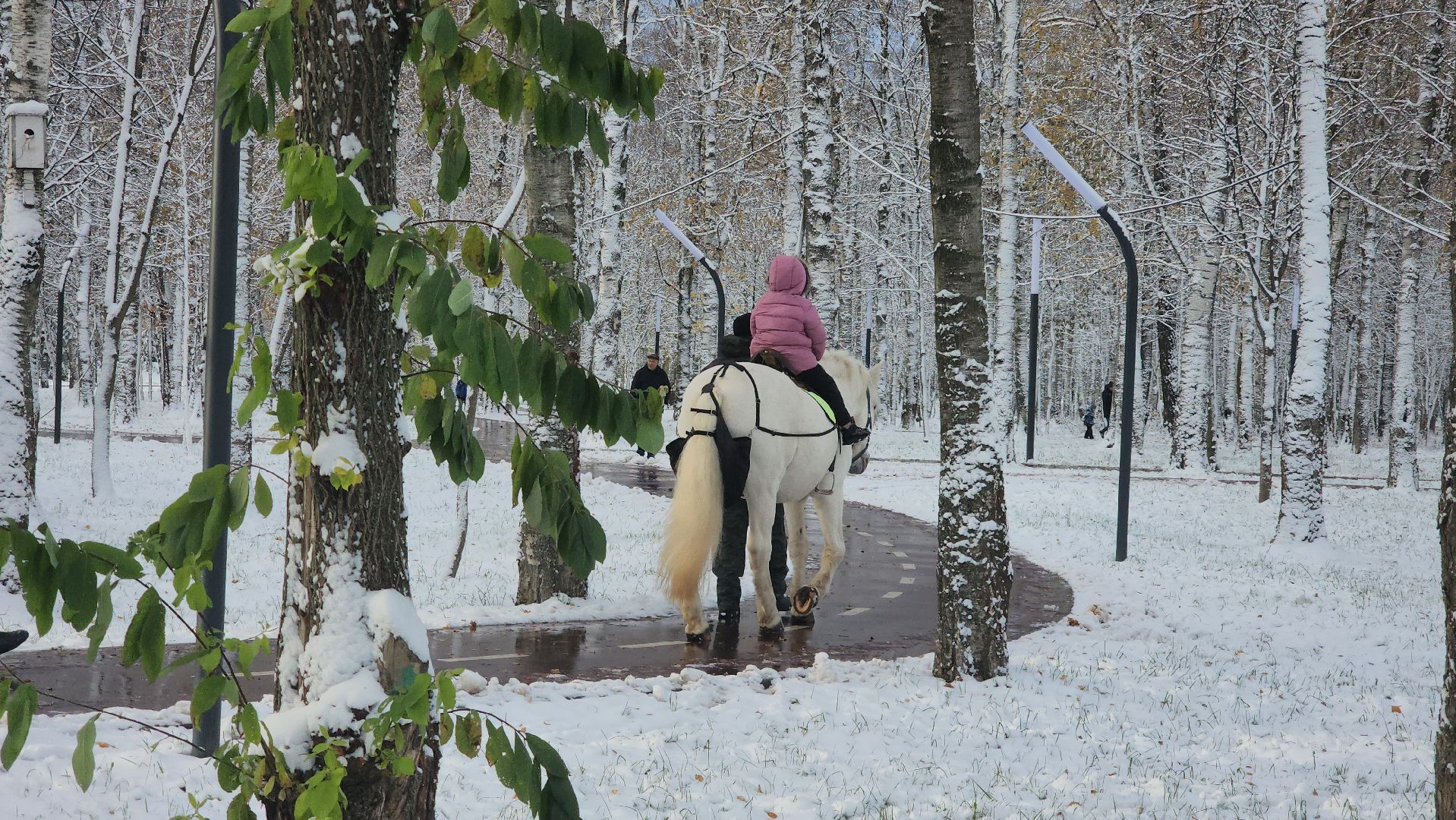 Катание на лошадях, Парк, день народного единства, Лобня, вертикалка,