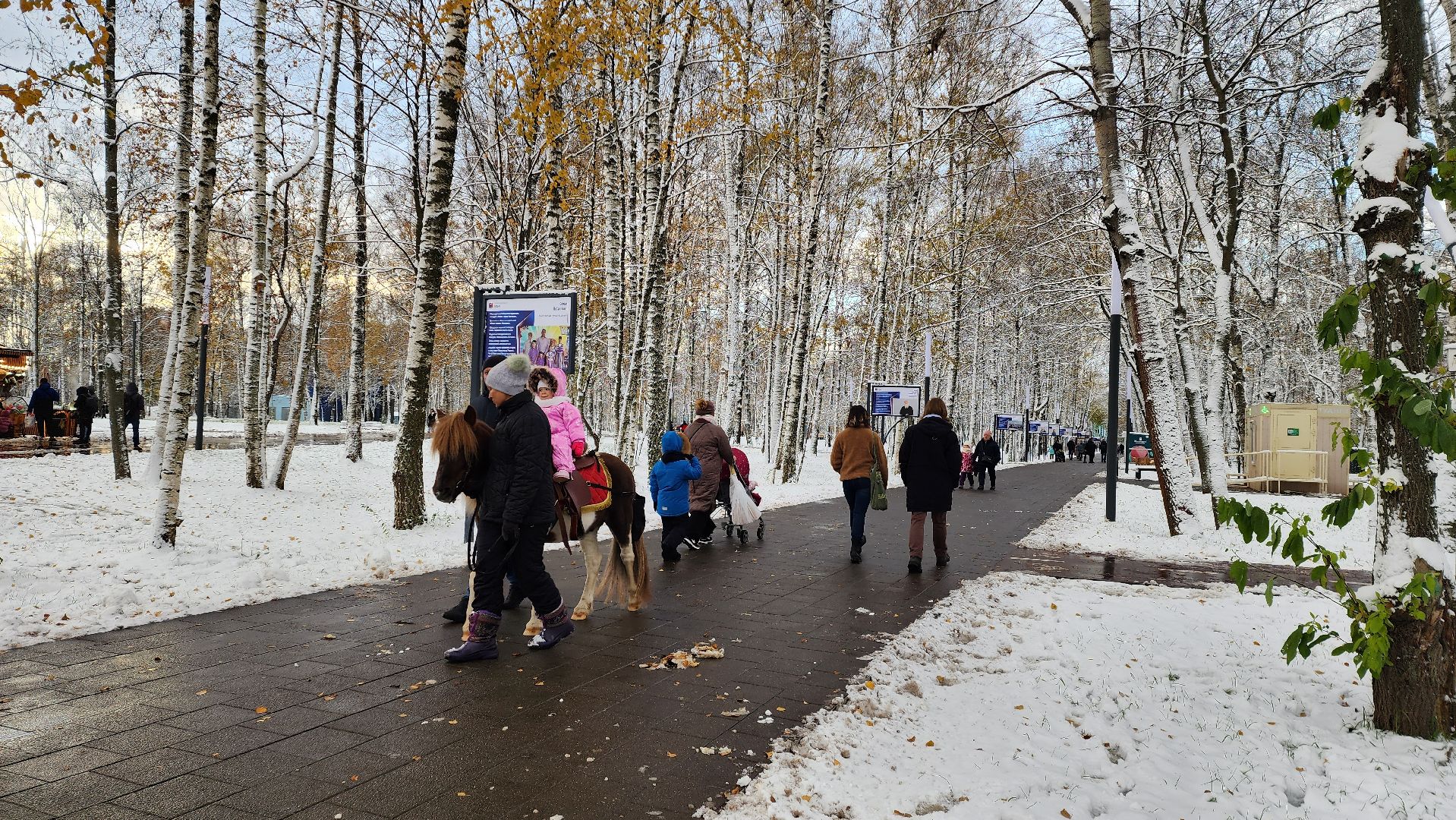 Катание на лошадях, Парк, день народного единства, Лобня, вертикалка,