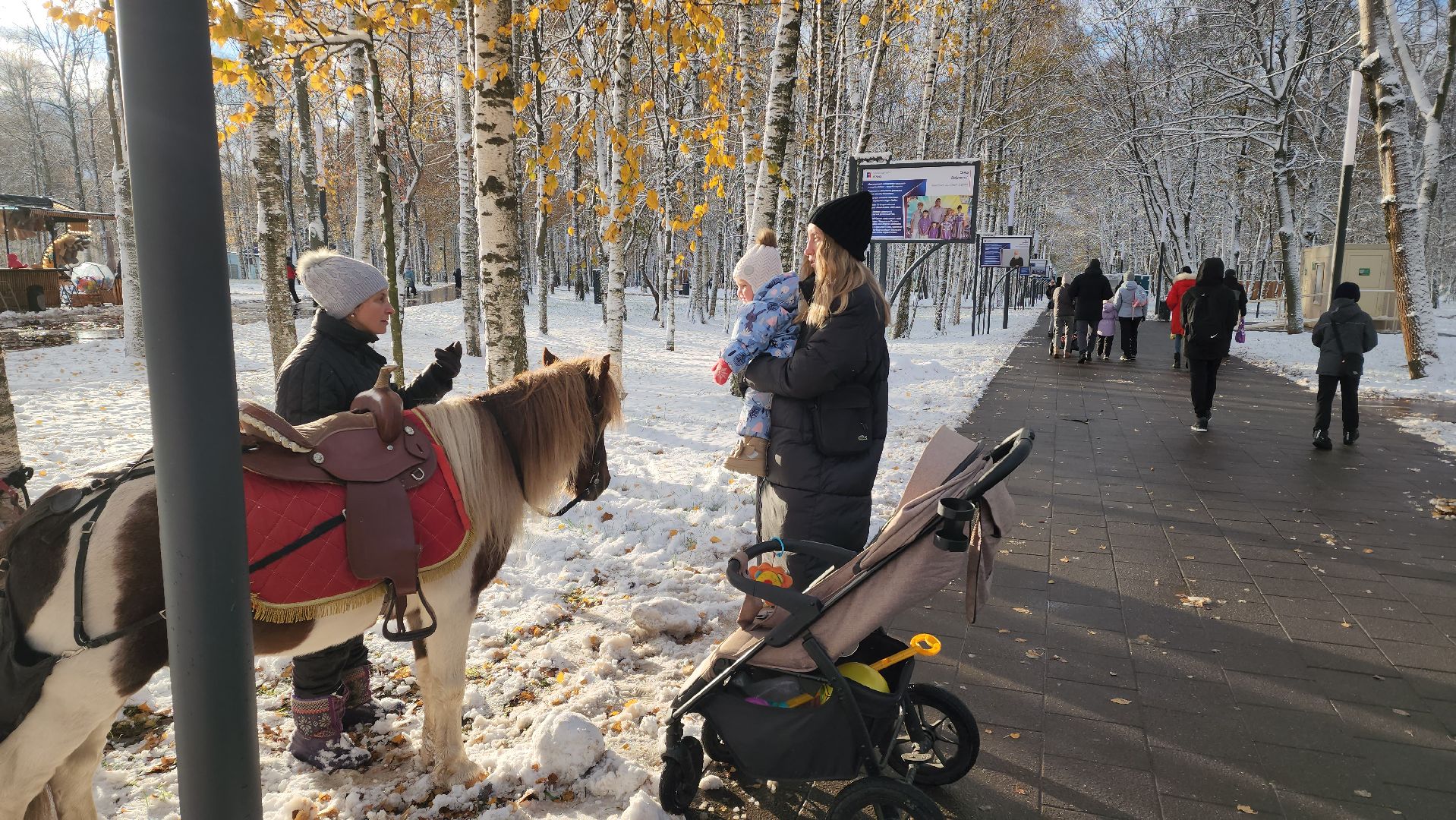 Катание на лошадях, Парк, день народного единства, Лобня, вертикалка,