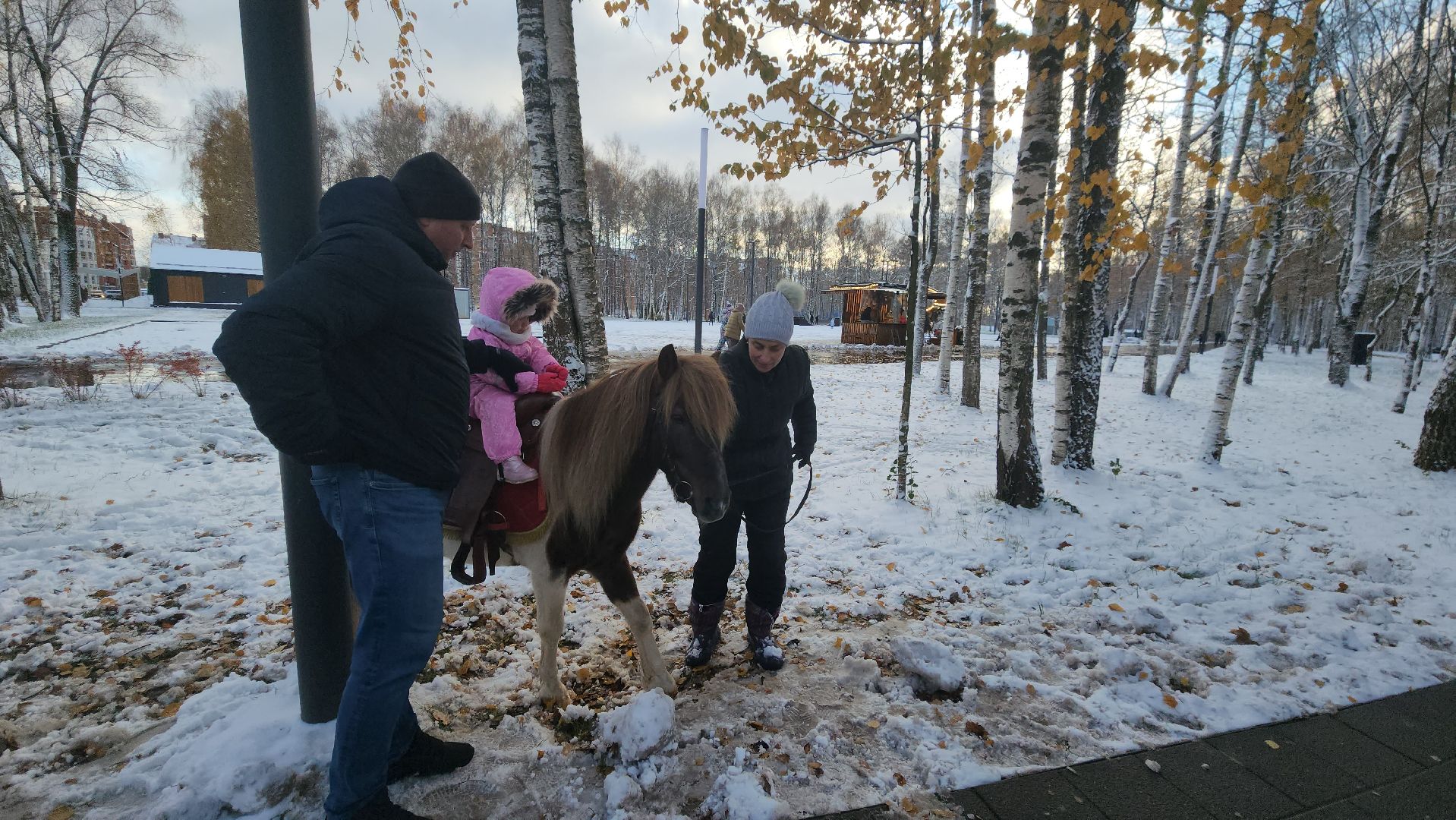 Катание на лошадях, Парк, день народного единства, Лобня, вертикалка,