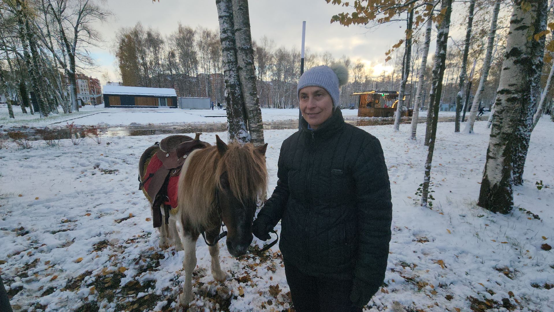 Катание на лошадях, Парк, день народного единства, Лобня, вертикалка,