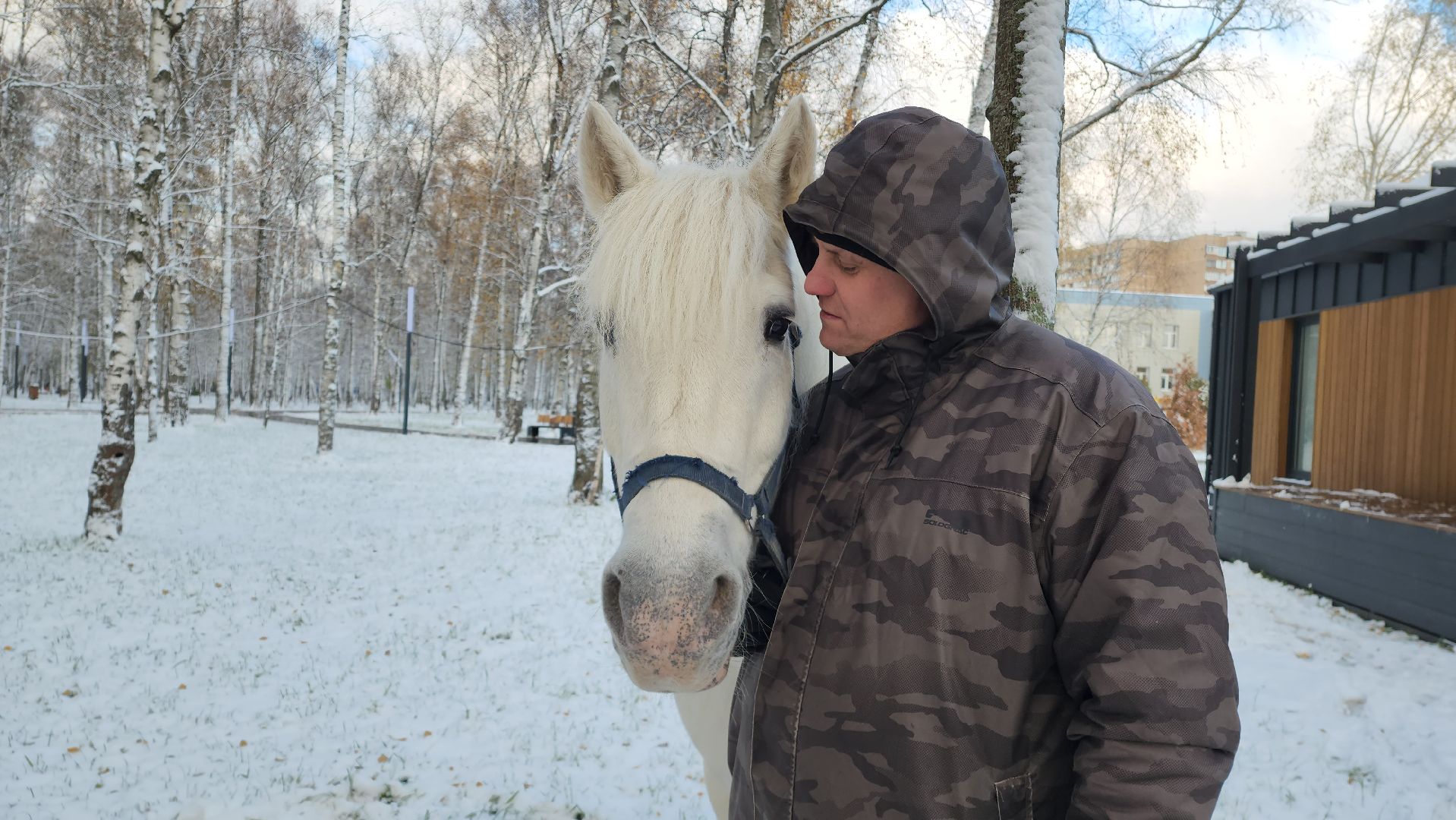 Катание на лошадях, Парк, день народного единства, Лобня, вертикалка,