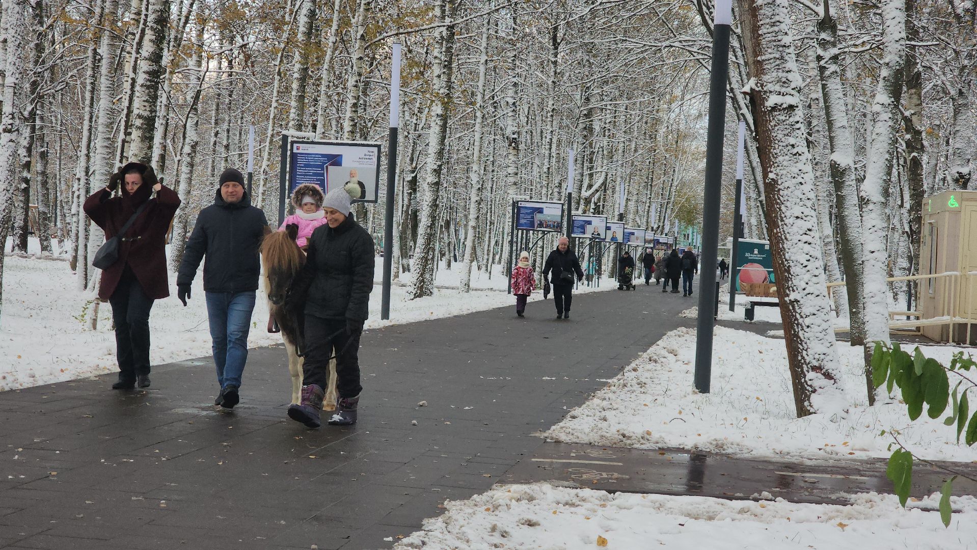 Катание на лошадях, Парк, день народного единства, Лобня, вертикалка,