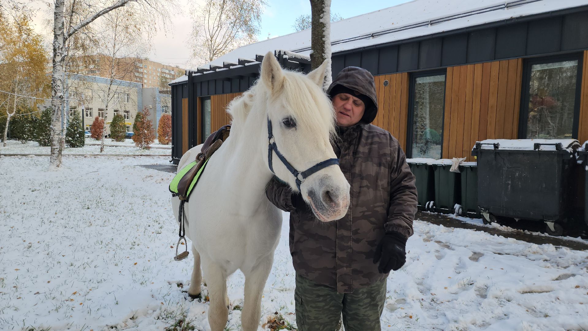 Катание на лошадях, Парк, день народного единства, Лобня, вертикалка,