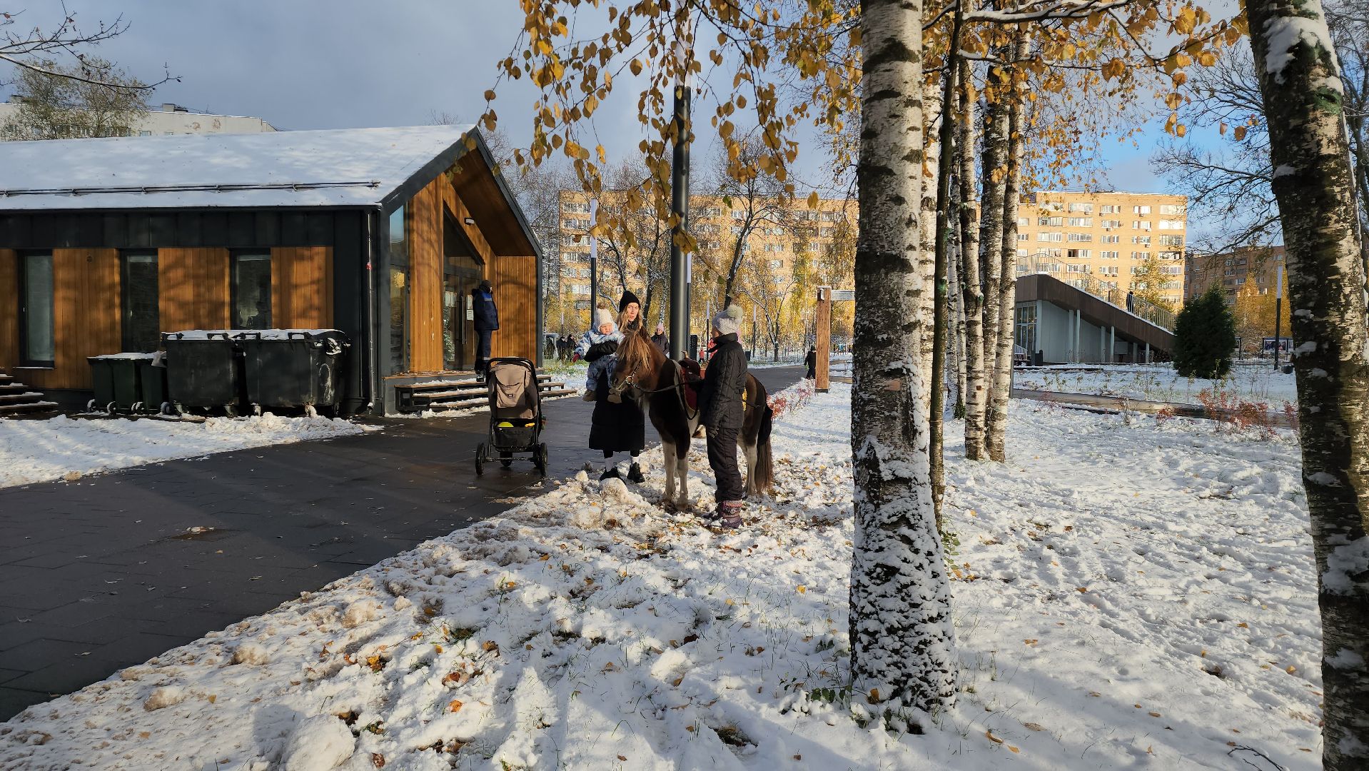 Катание на лошадях, Парк, день народного единства, Лобня, вертикалка,