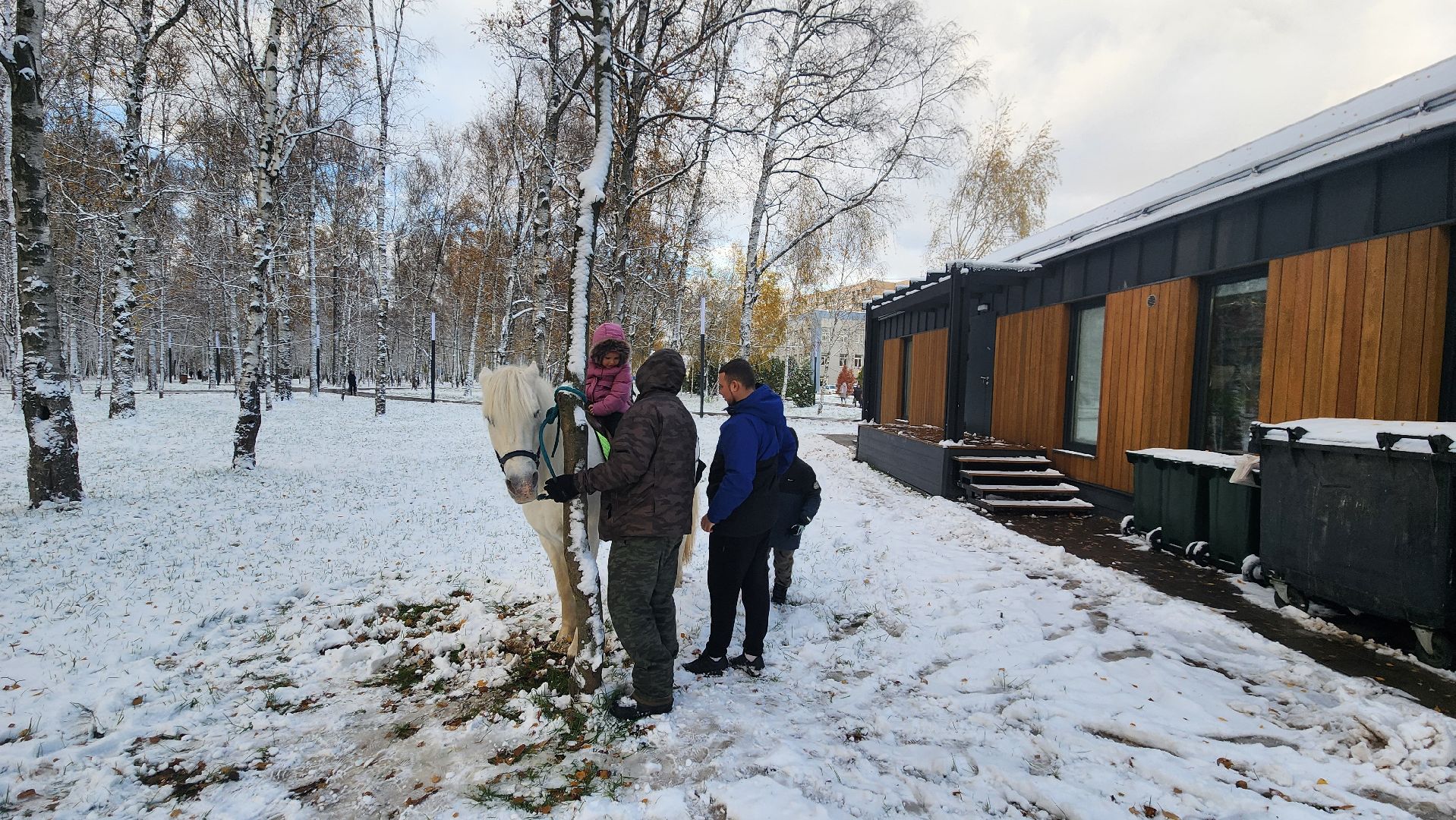 Катание на лошадях, Парк, день народного единства, Лобня, вертикалка,