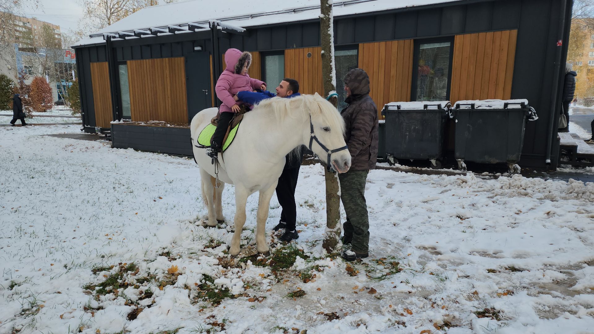 Катание на лошадях, Парк, день народного единства, Лобня, вертикалка,