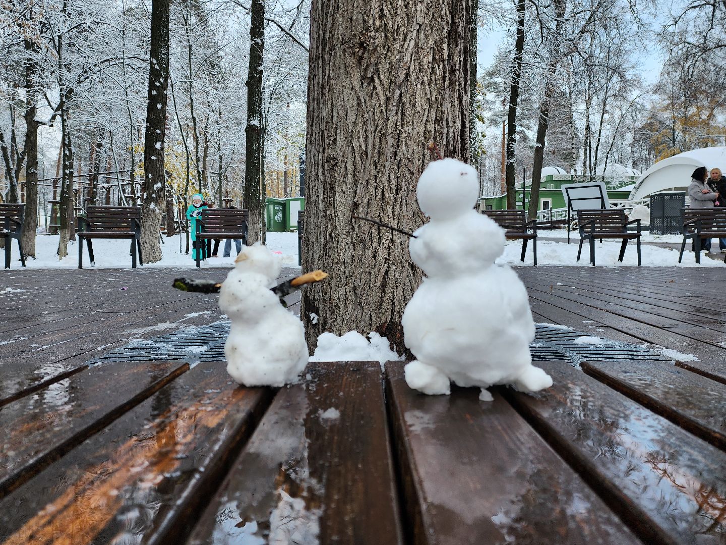 раменское, общество, день народного единства, праздничная программа в раменском городском парке, вертикалки,