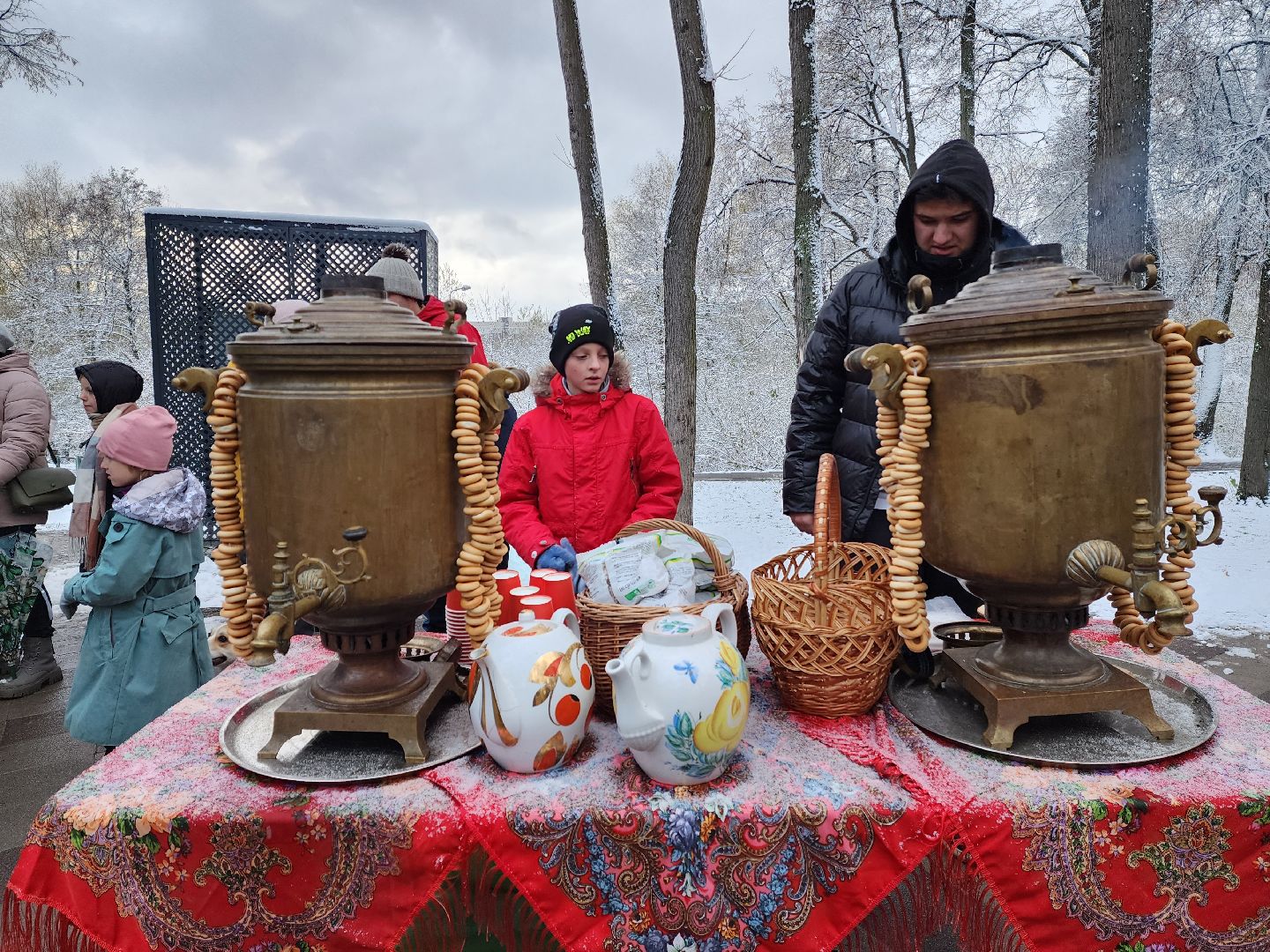 раменское, общество, день народного единства, праздничная программа в раменском городском парке, вертикалки,