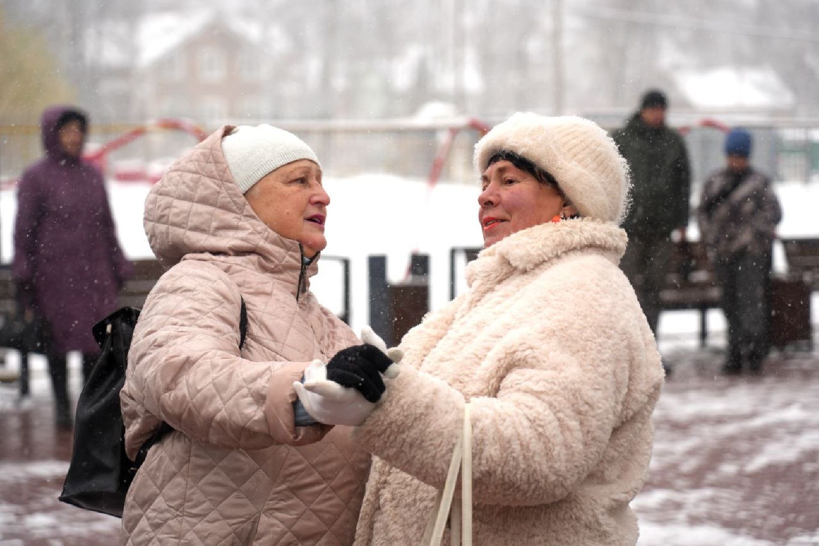 Праздник, День народного единства, Парк, Сергиев Посад, Сергиево-Посадский городской округ, вертикалка,