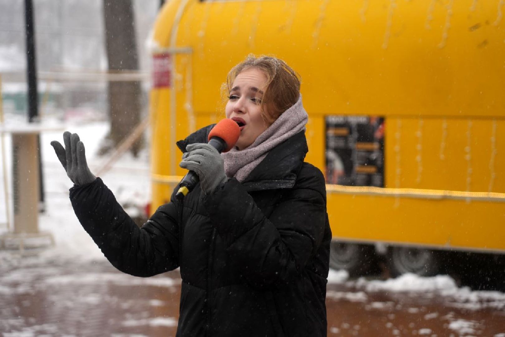 Праздник, День народного единства, Парк, Сергиев Посад, Сергиево-Посадский городской округ, вертикалка,