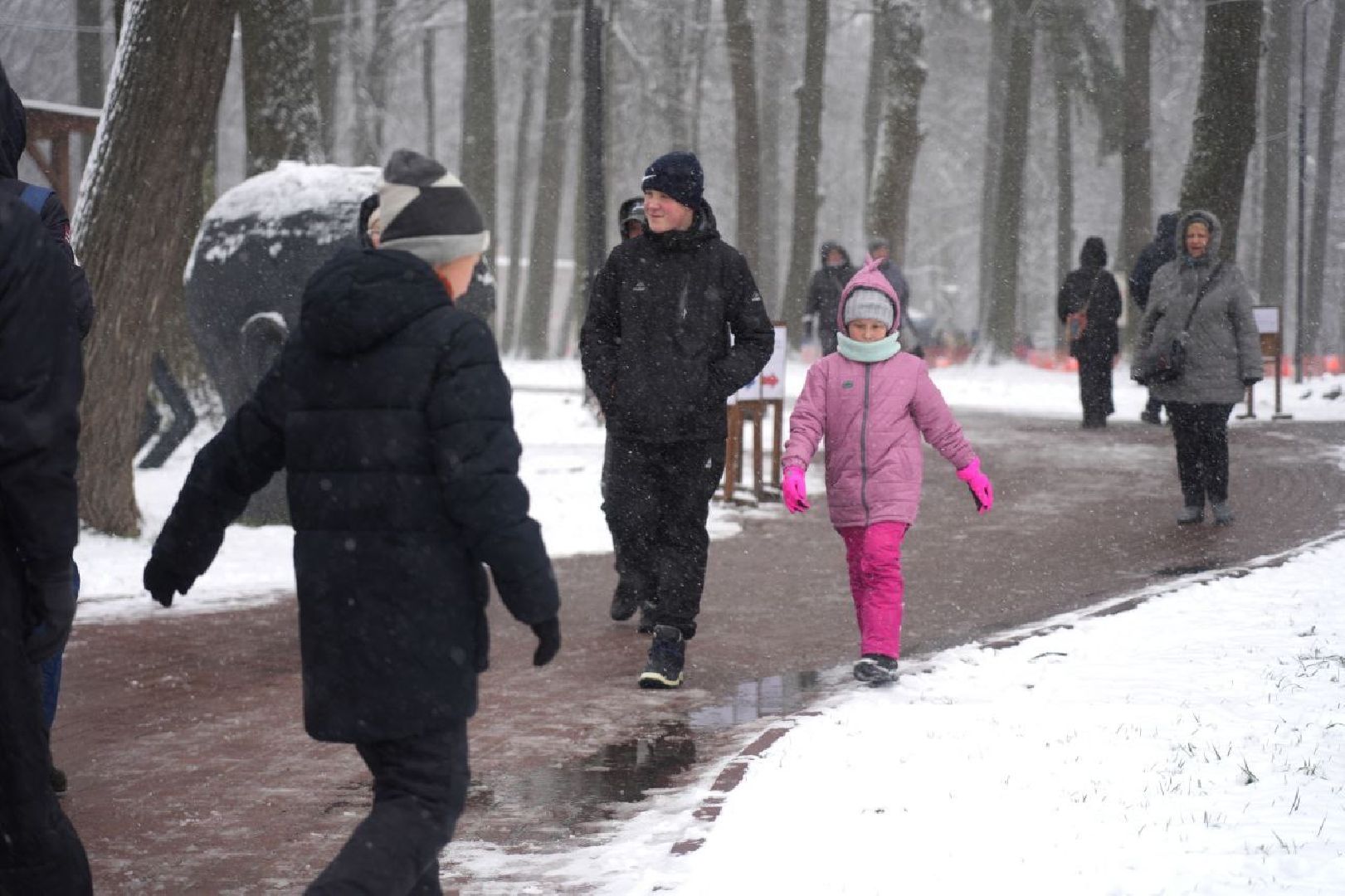 Праздник, День народного единства, Парк, Сергиев Посад, Сергиево-Посадский городской округ, вертикалка,