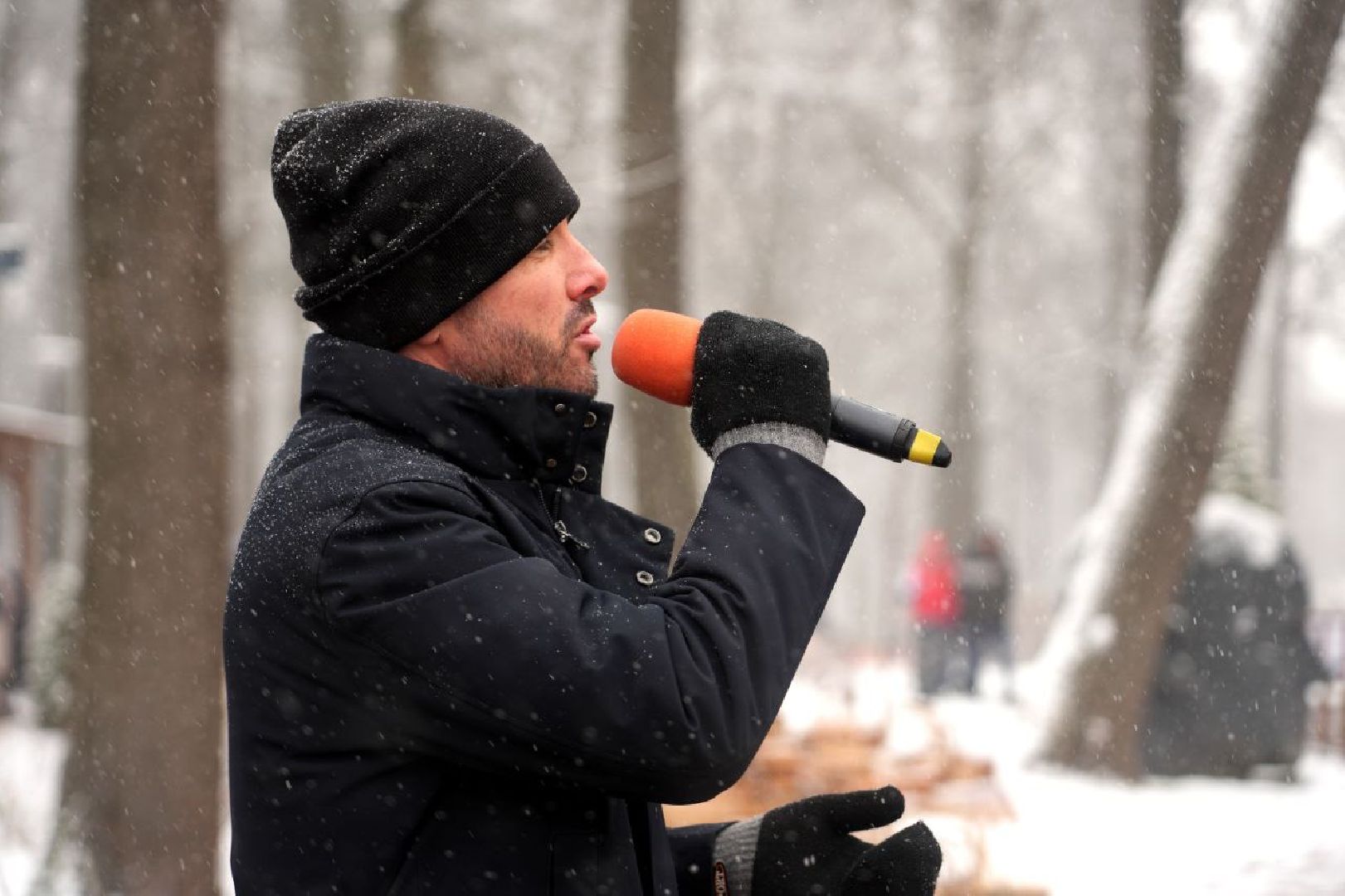 Праздник, День народного единства, Парк, Сергиев Посад, Сергиево-Посадский городской округ, вертикалка,
