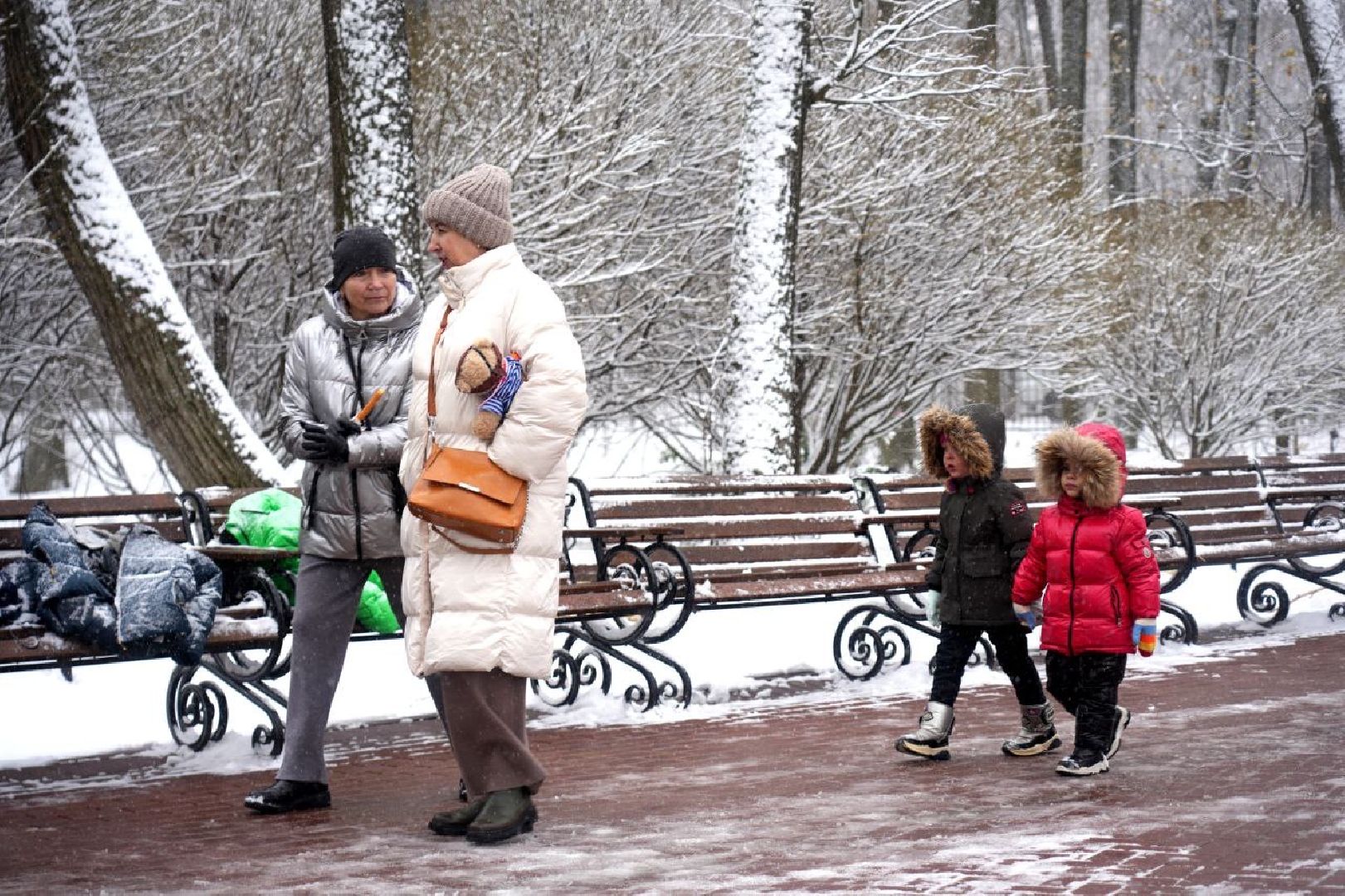Праздник, День народного единства, Парк, Сергиев Посад, Сергиево-Посадский городской округ, вертикалка,