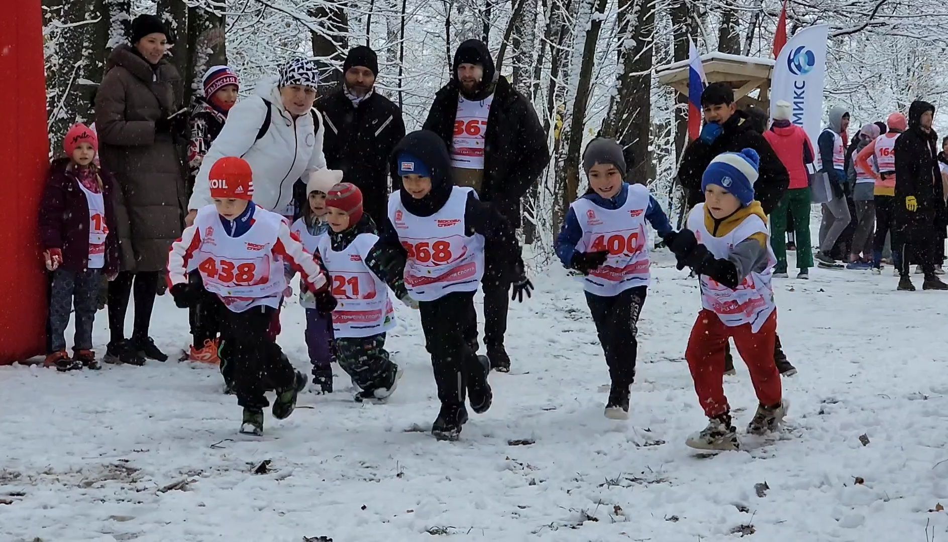 спорт, забег, день народного единства, лес, вертикалка,