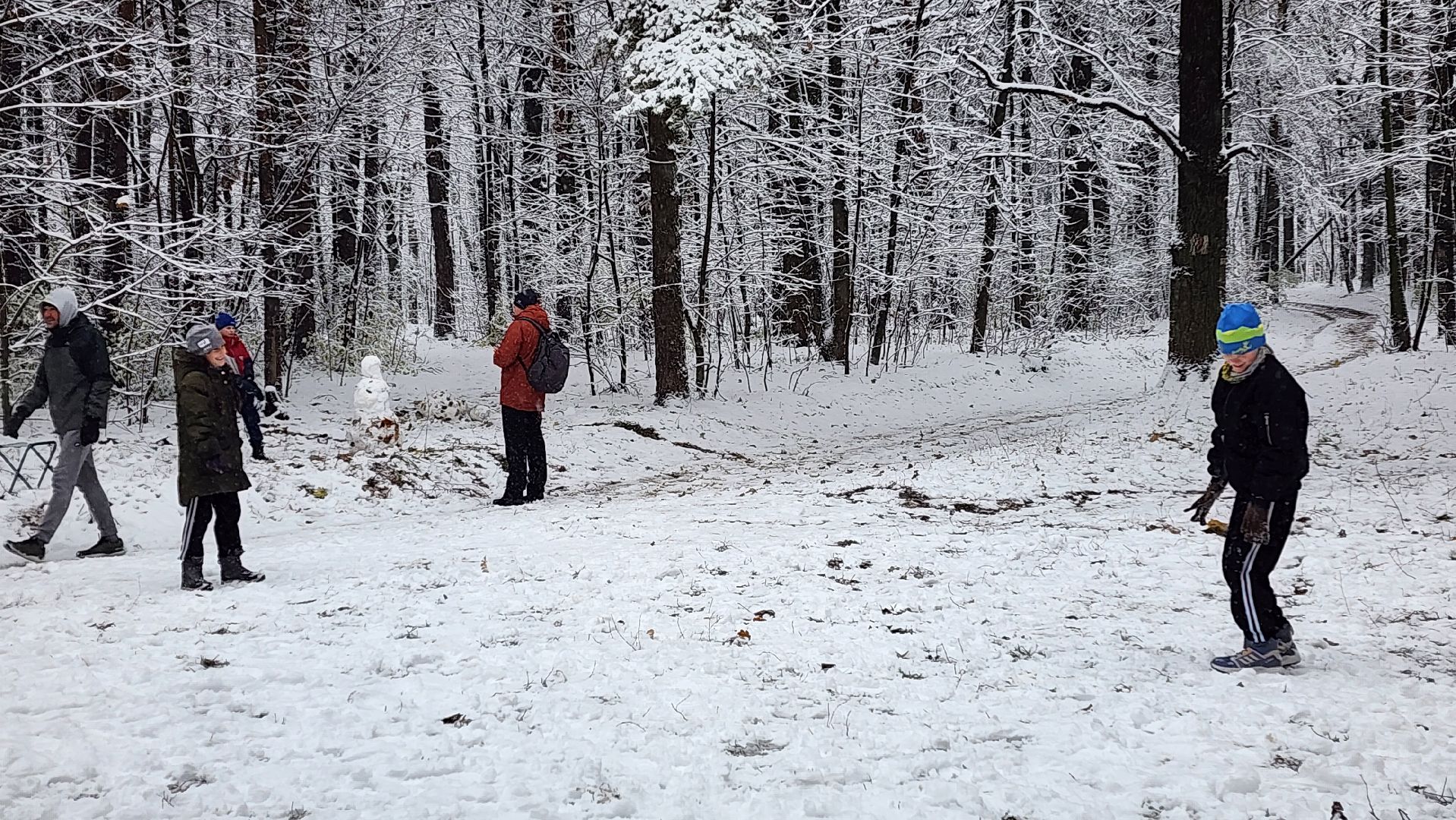 спорт, забег, день народного единства, лес, вертикалка,
