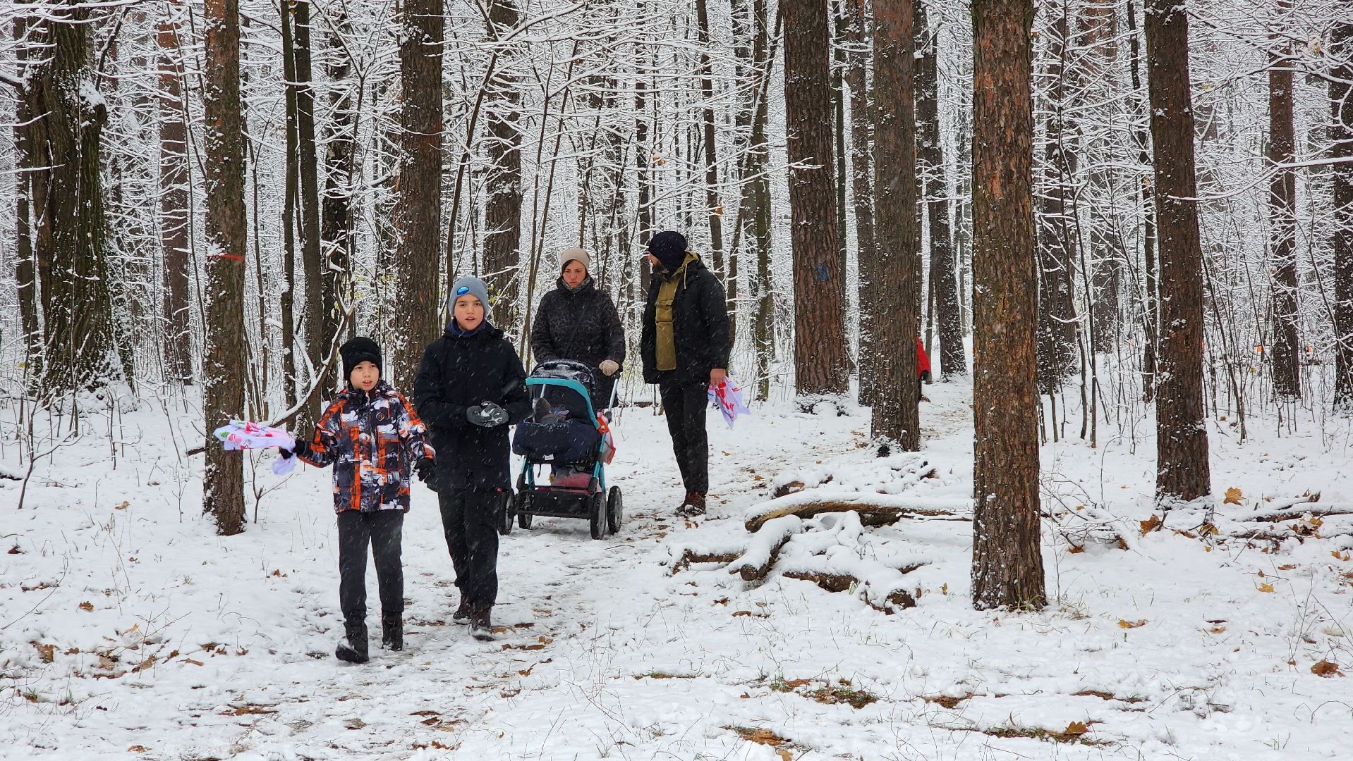 спорт, забег, день народного единства, лес, вертикалка,