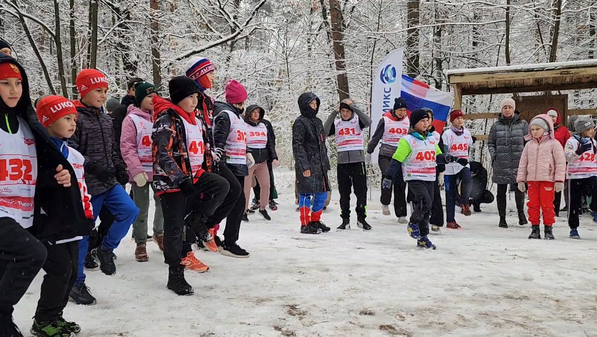 спорт, забег, день народного единства, лес, вертикалка,