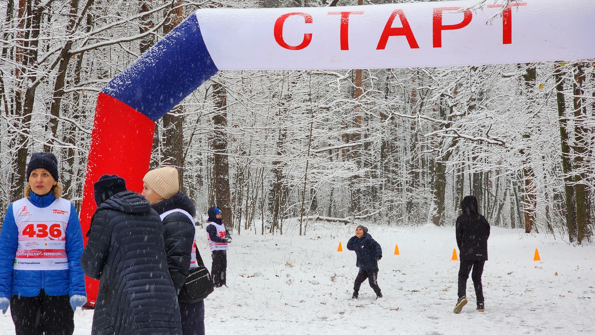 спорт, забег, день народного единства, лес, вертикалка,