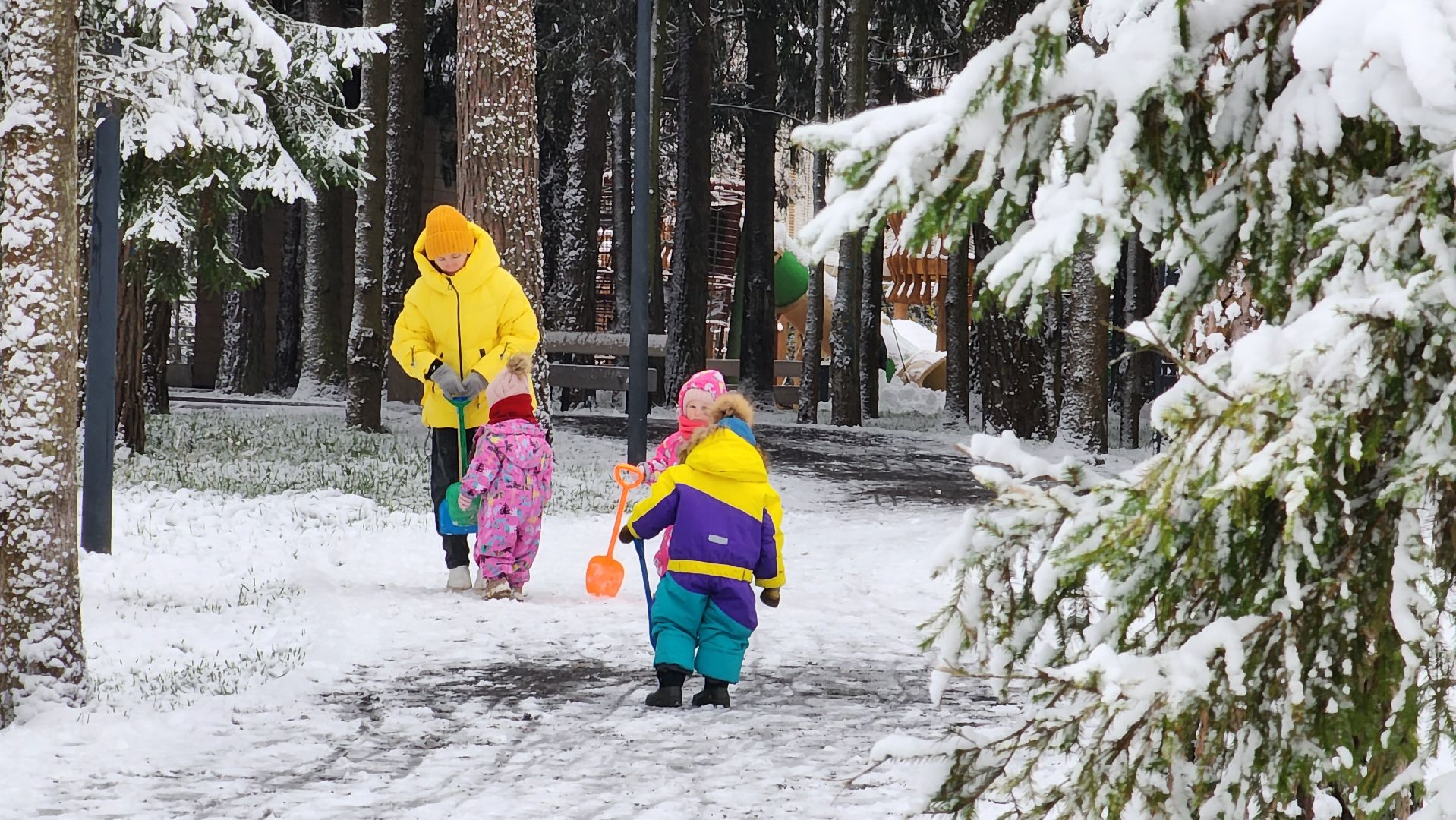 день народного единства, праздник, вертикалка, парк, истра,