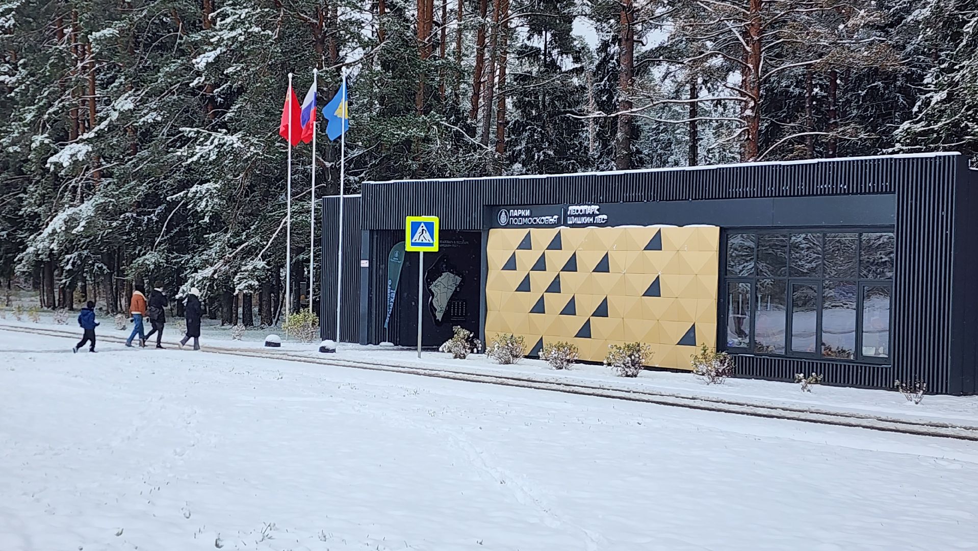 день народного единства, праздник, вертикалка, парк, истра,