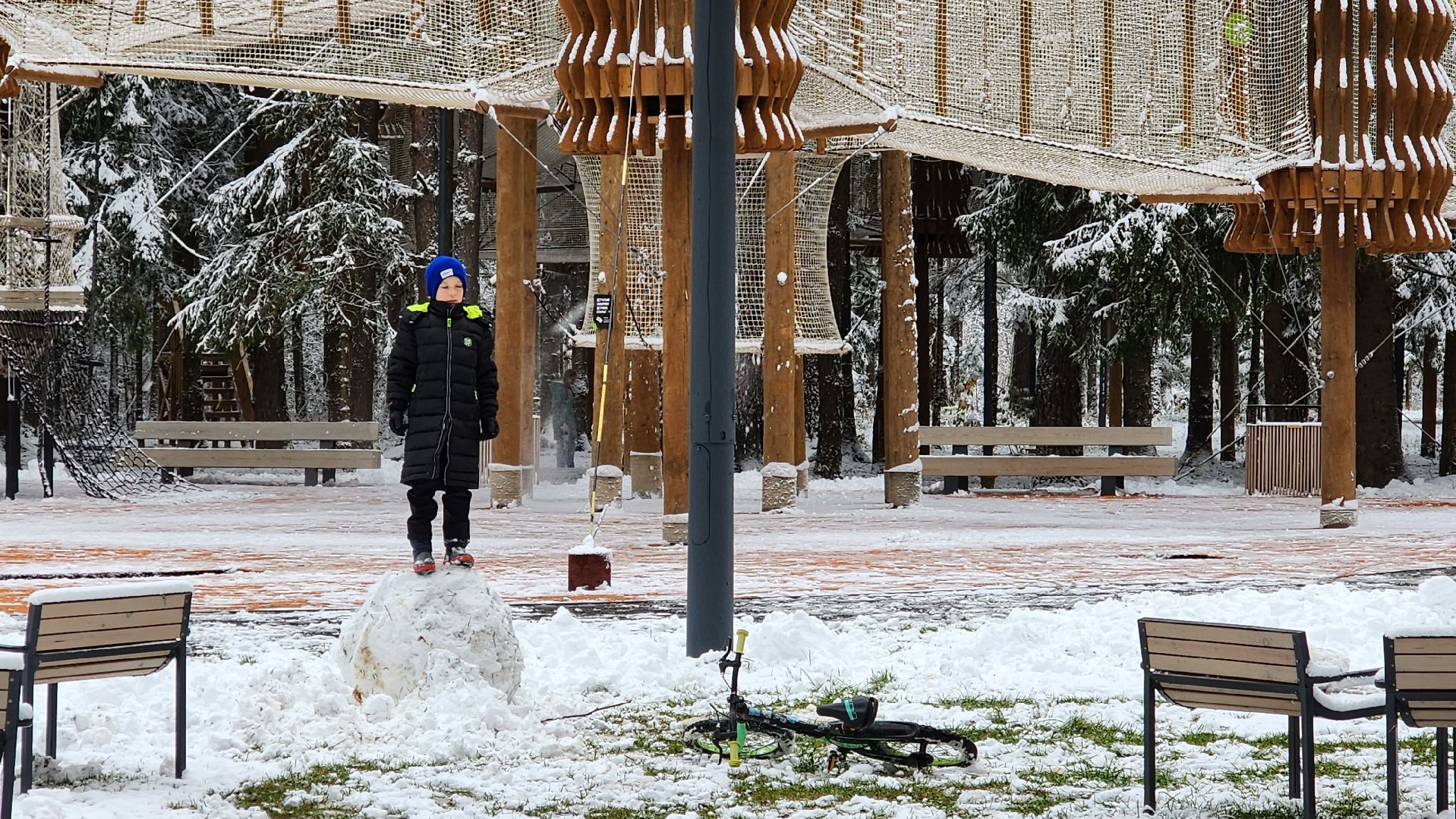 день народного единства, праздник, вертикалка, парк, истра,