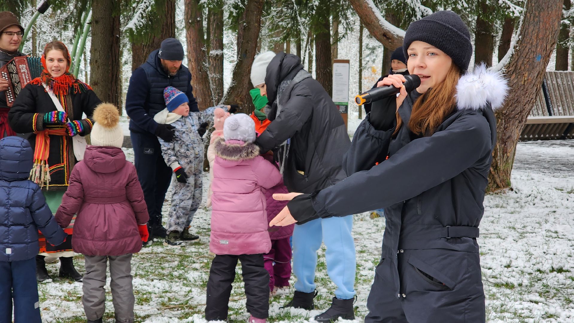 день народного единства, праздник, вертикалка, парк, истра,
