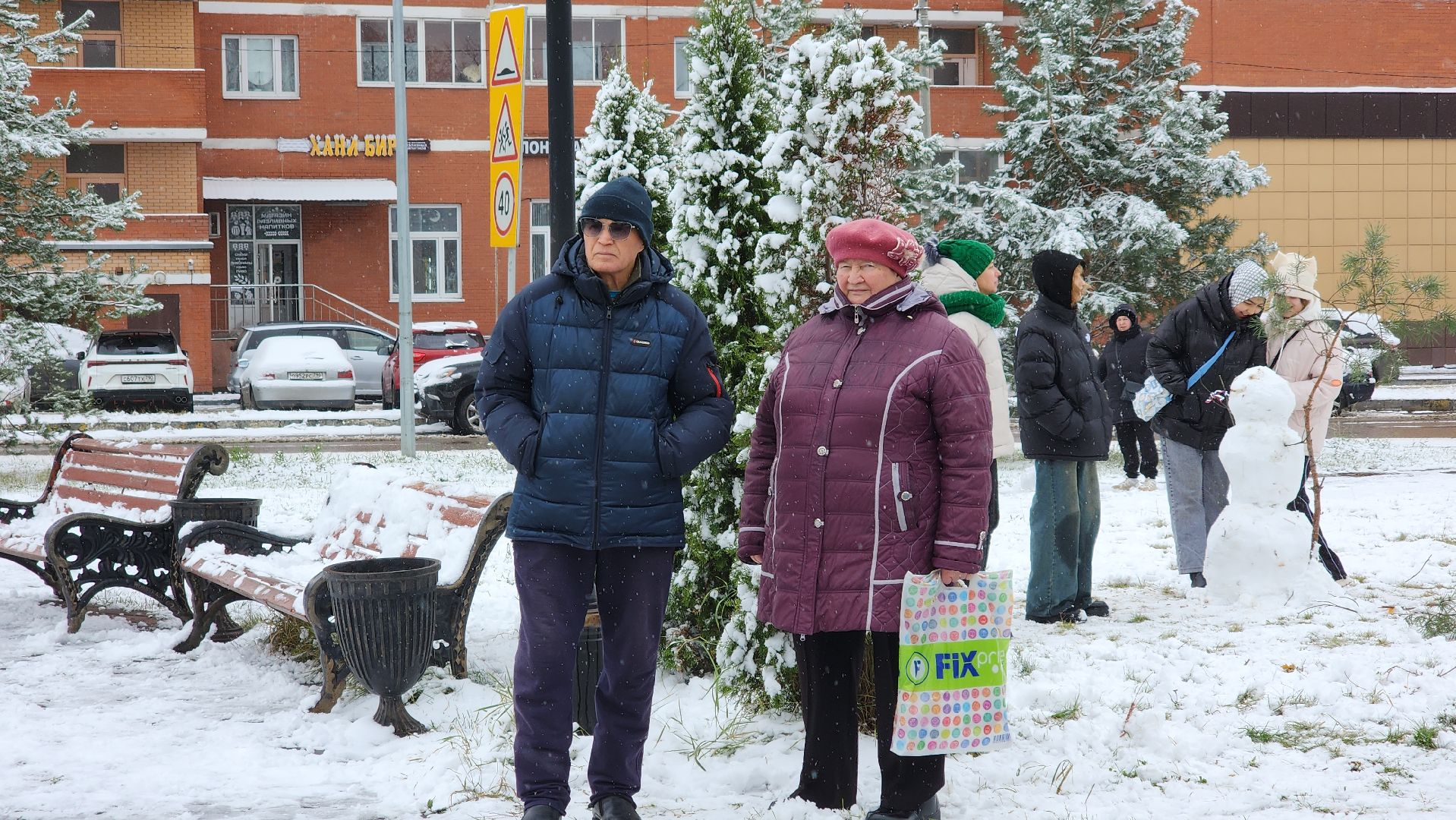 праздник, День народного единства, Лосино-Петровский, вертикалки,