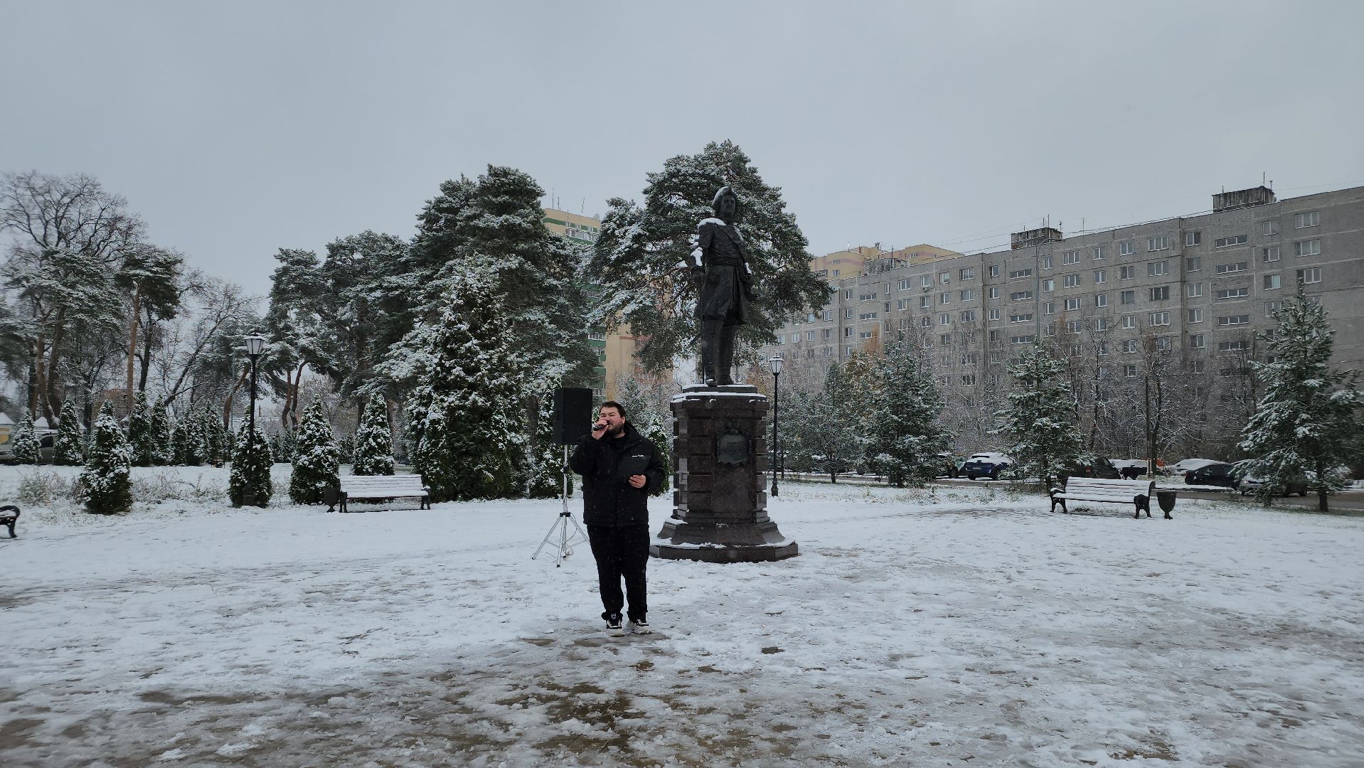 праздник, День народного единства, Лосино-Петровский, вертикалки,