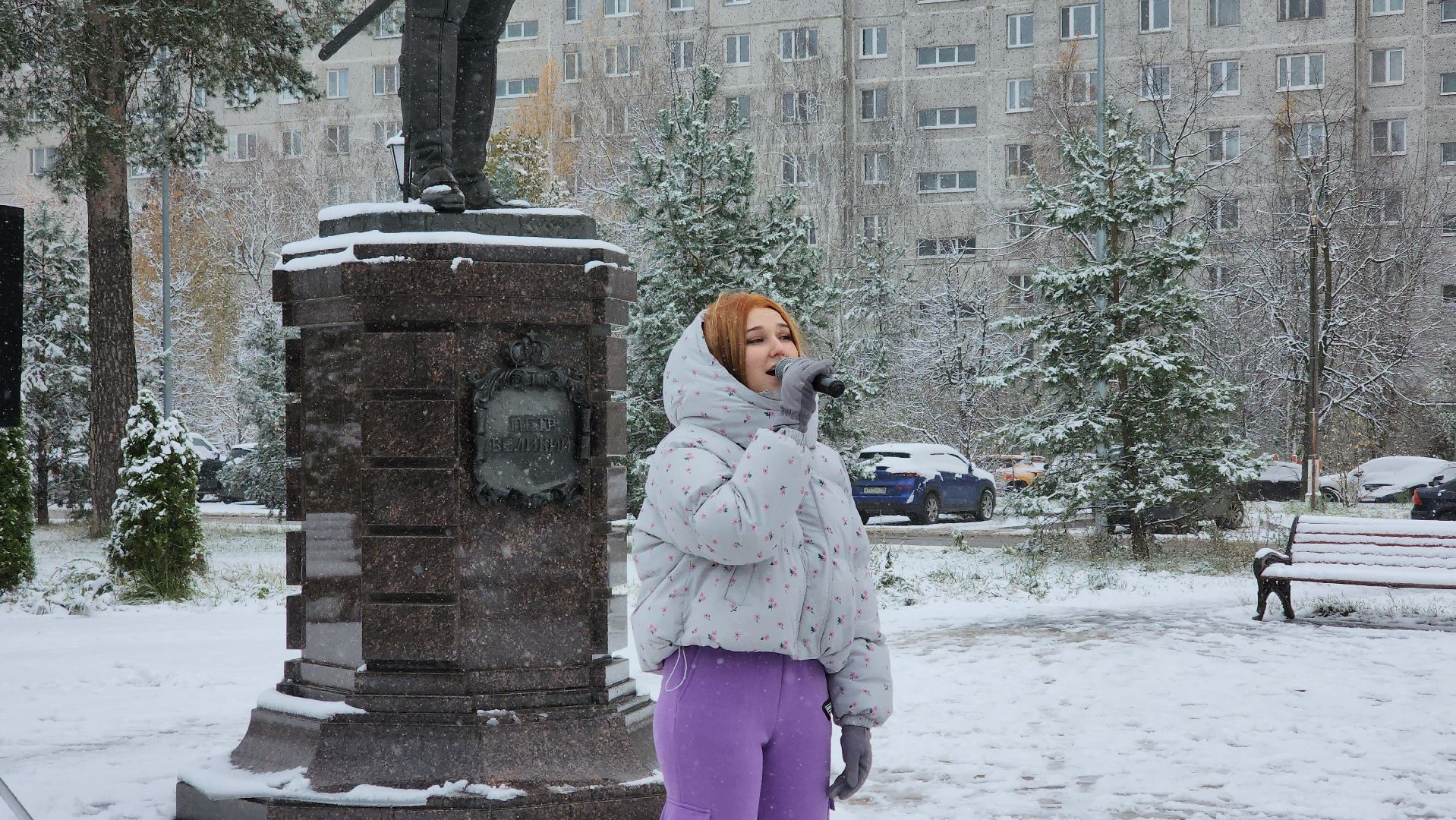 праздник, День народного единства, Лосино-Петровский, вертикалки,