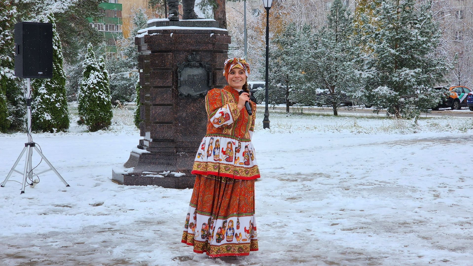 праздник, День народного единства, Лосино-Петровский, вертикалки,