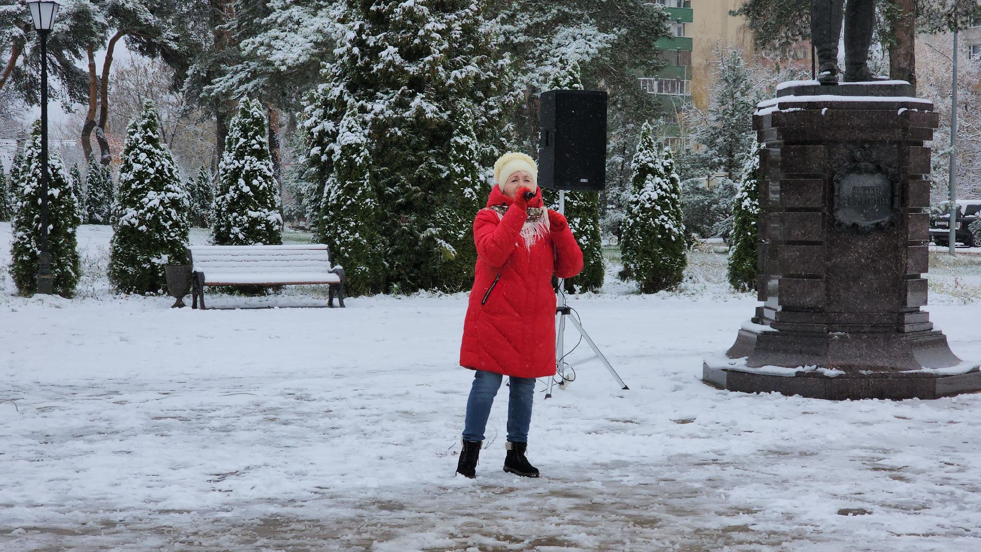 праздник, День народного единства, Лосино-Петровский, вертикалки,