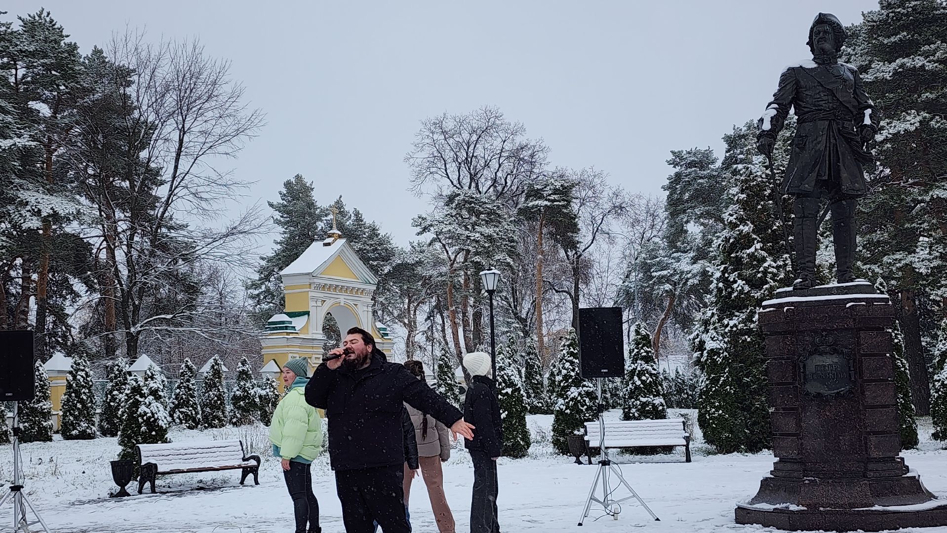 праздник, День народного единства, Лосино-Петровский, вертикалки,