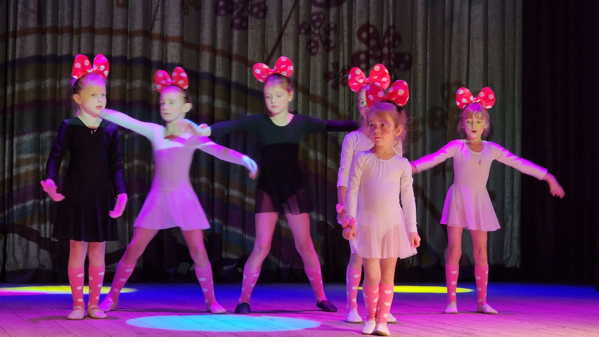 Каринское, день народного единства, культура и туризм в подмосковье, вертикалка,вертикальное видео,