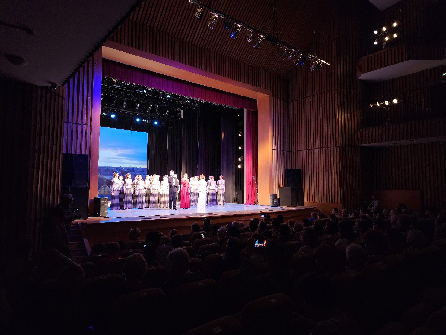 Дубна, Фестиваль, Дворец культуры, День народного единства, Праздник, вертикалка,