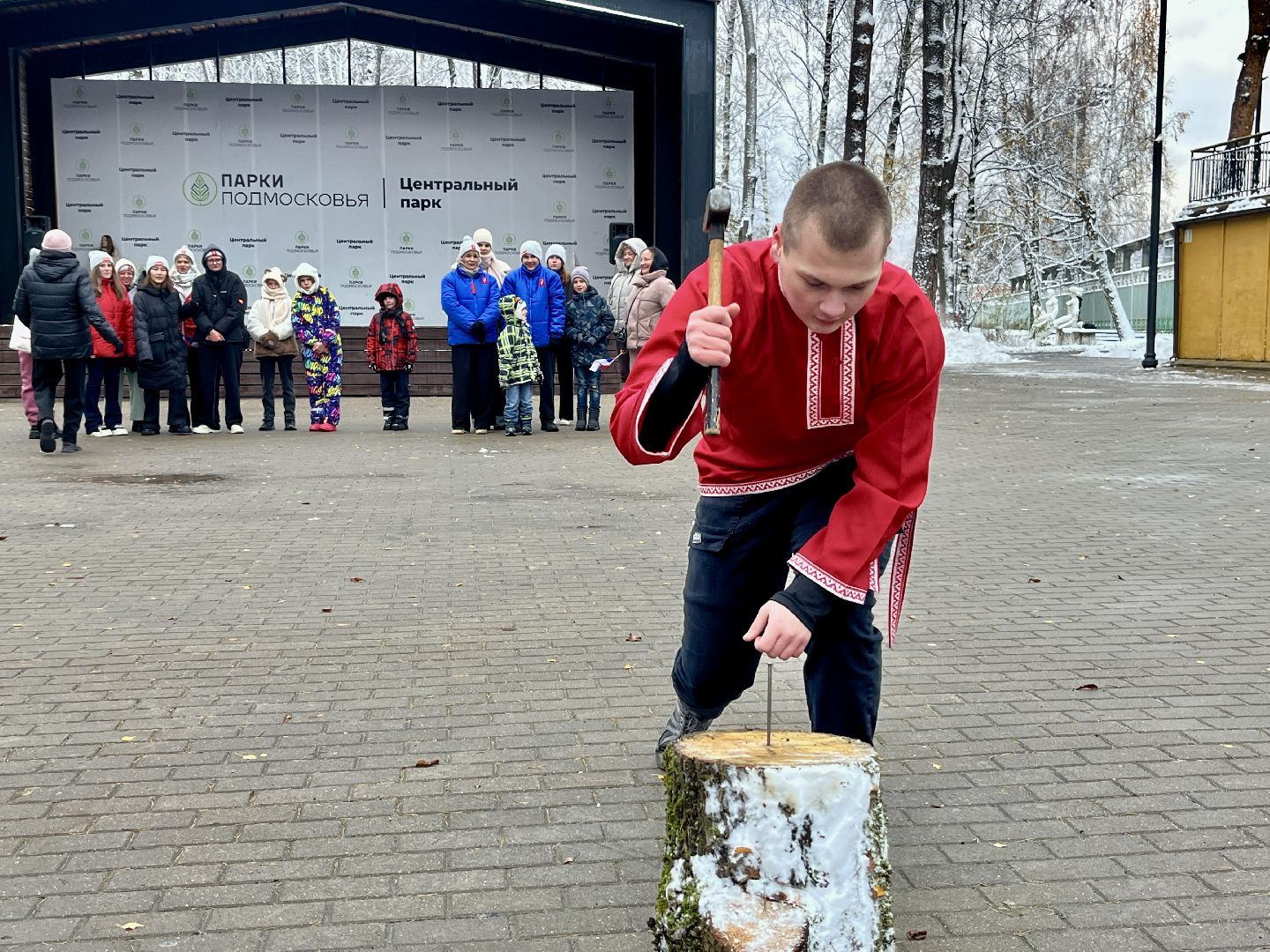 вертикалка, вертикальное видео, наро-фоминск, центральный парк наро-фоминска, день народного единства,
