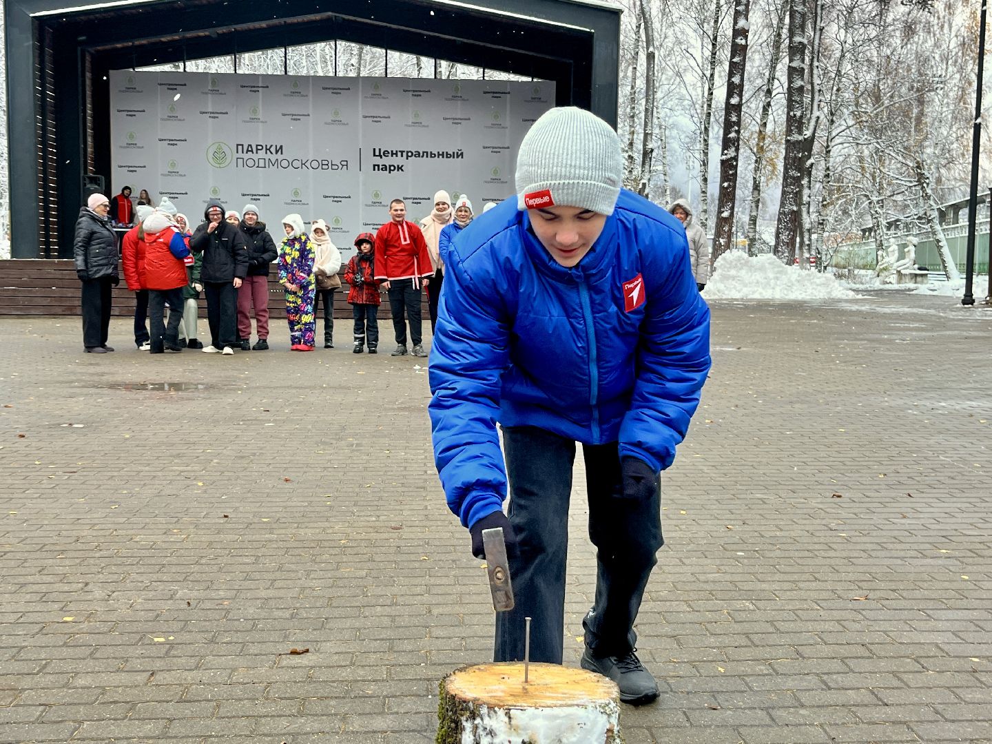 вертикалка, вертикальное видео, наро-фоминск, центральный парк наро-фоминска, день народного единства,