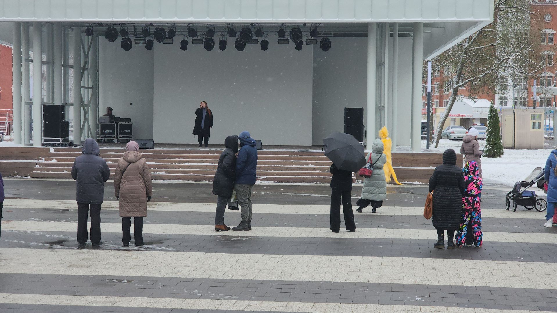 день народного единства, Концерт, Лобня, вертикалка,