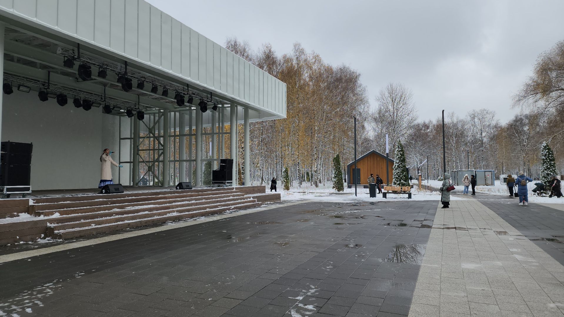 день народного единства, Концерт, Лобня, вертикалка,