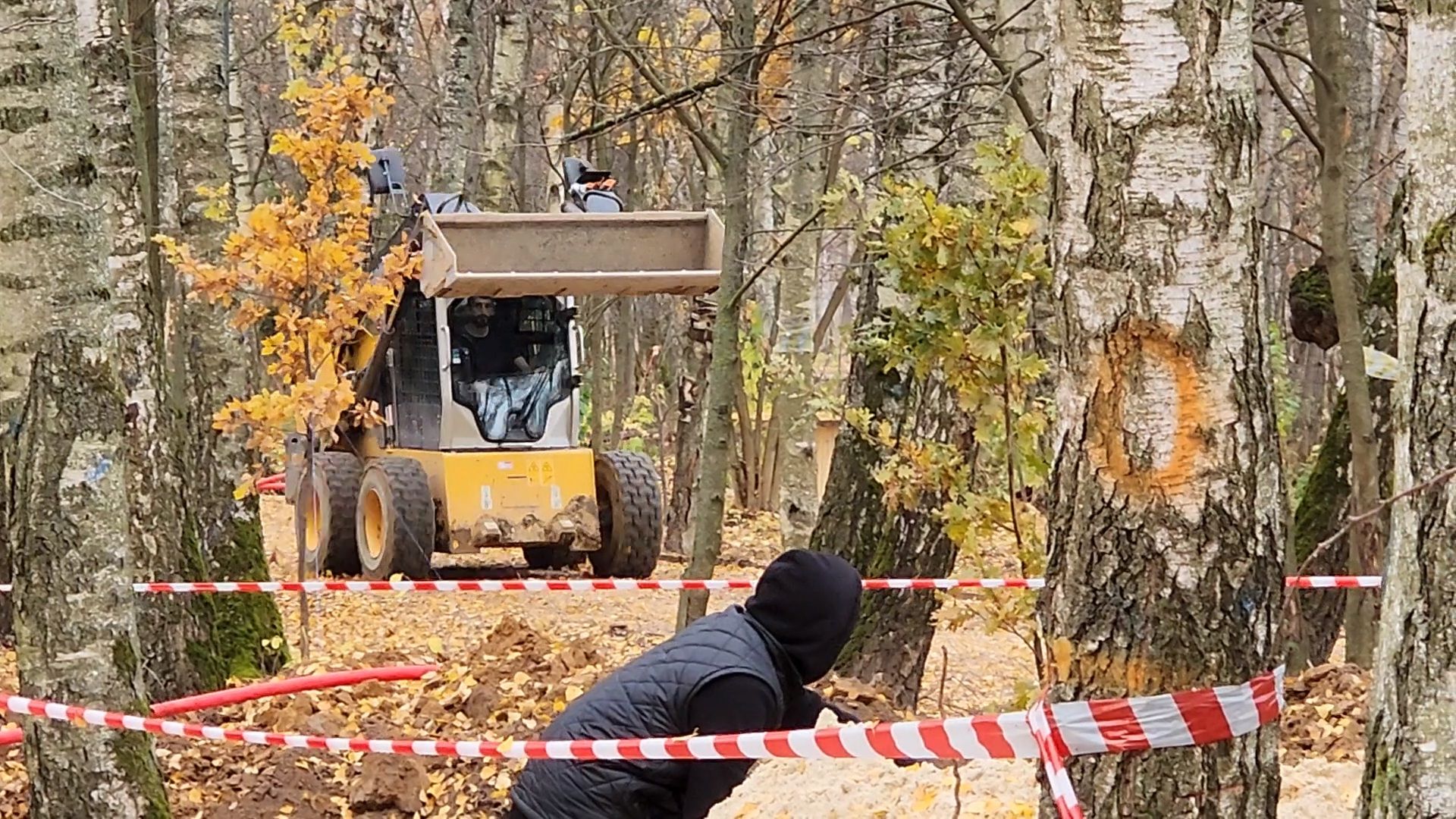 Чехов, микрорайон Губернский, лесопарк, лесопарковая зона отдыха, строительство, благоустройство, прокладка инженерных сетей, электроснабжение, региональная программа Парки в лесу, вертикалка, вертикальное видео,