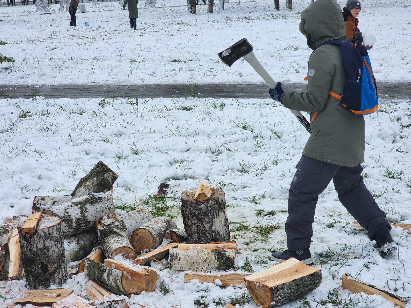 долгопрудный, день народного единства, вертикалка, парк