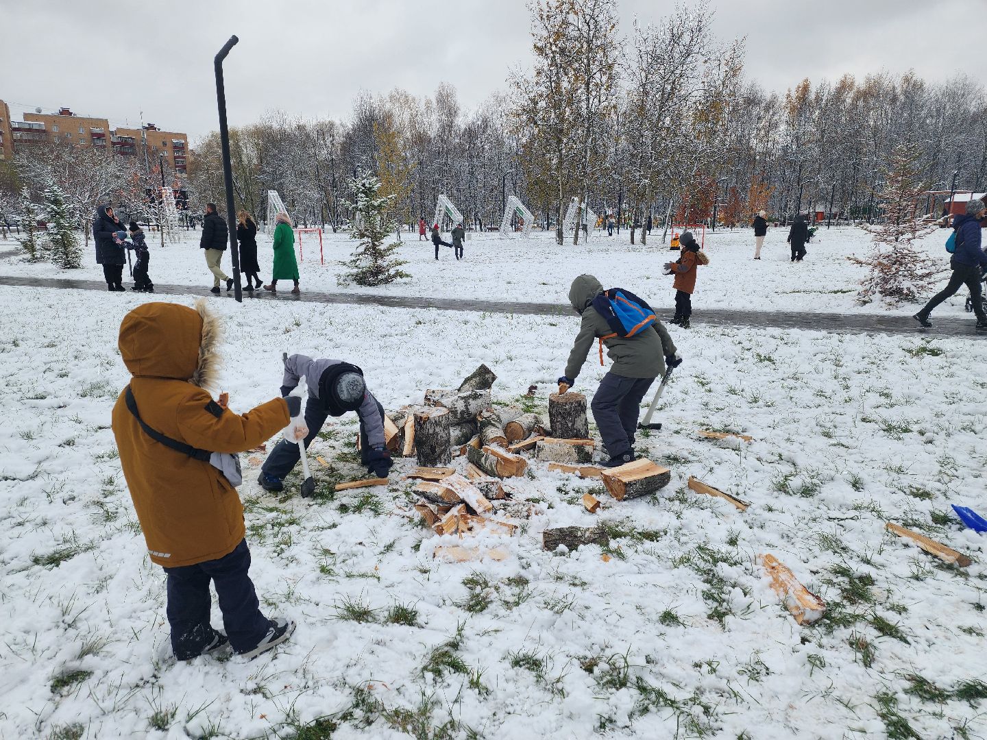долгопрудный, день народного единства, вертикалка, парк