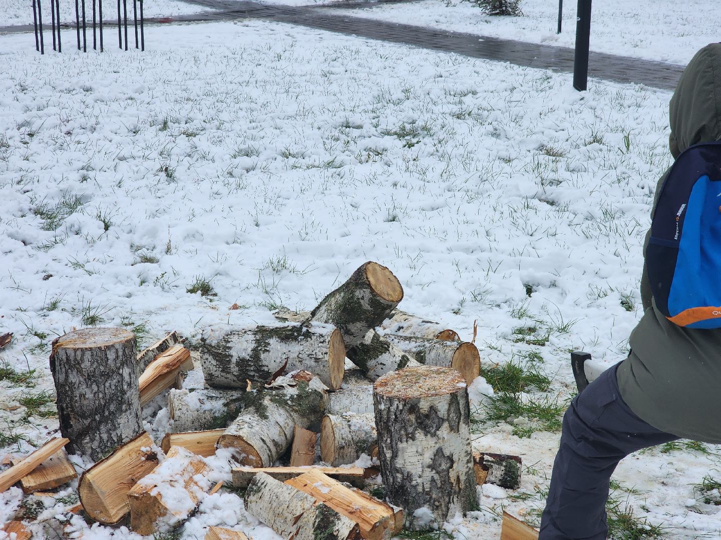 долгопрудный, день народного единства, вертикалка, парк