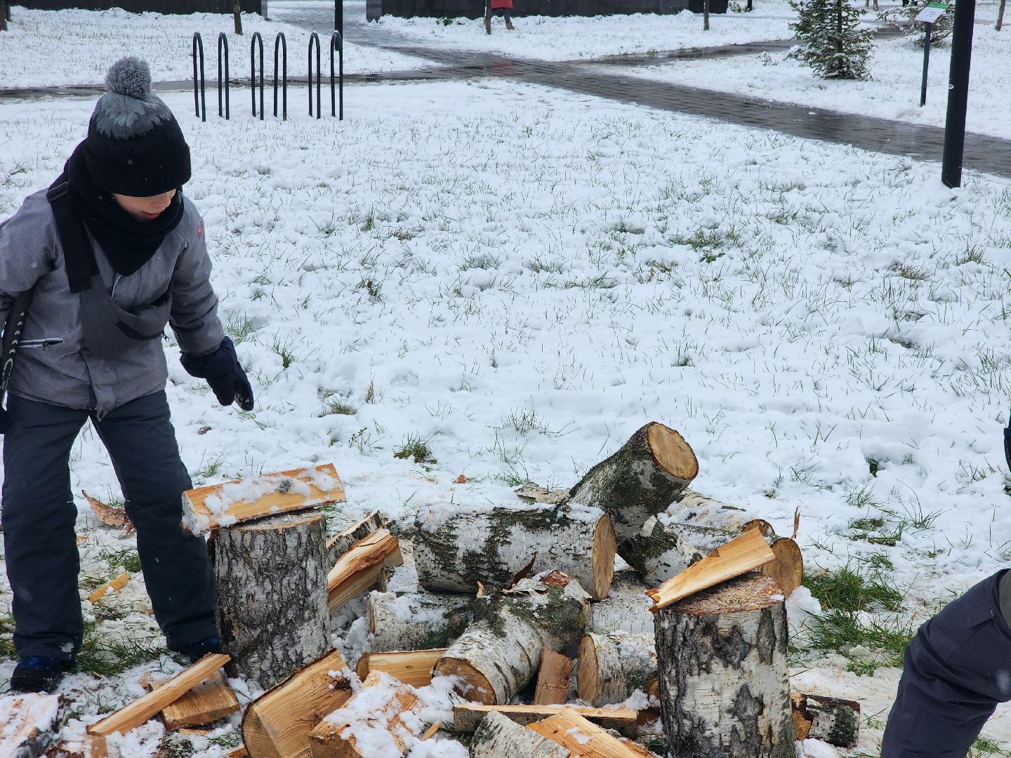 долгопрудный, день народного единства, вертикалка, парк