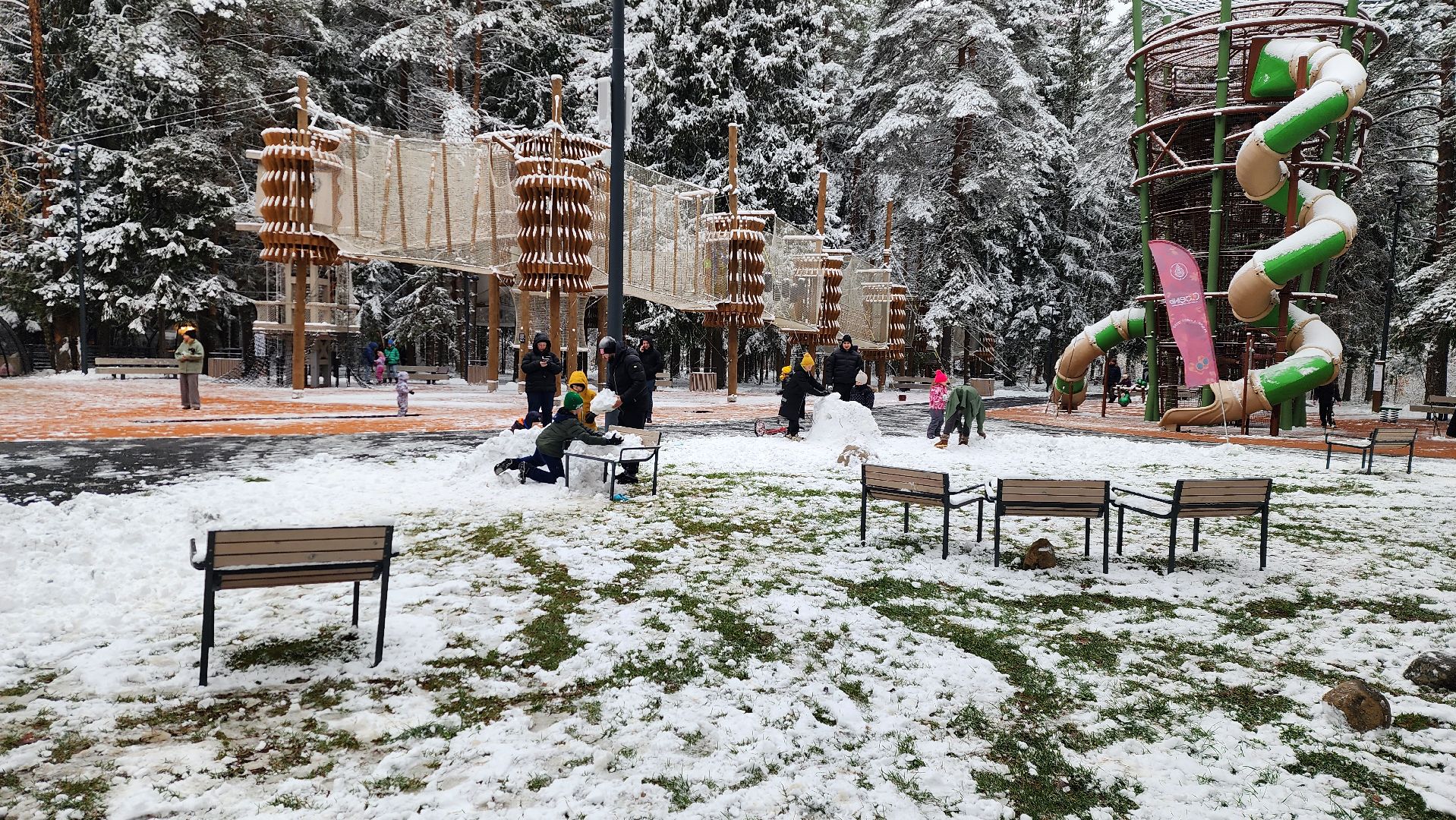 день народного единства, парки, праздник, лесопарк, истра, вертикалка,