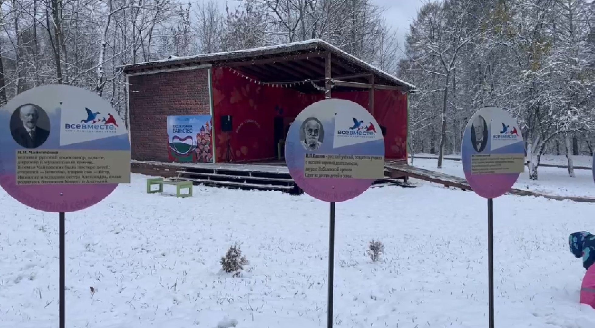 Дети, Жизнь, многодетные семьи, день народного единства, истра, вертикалка,