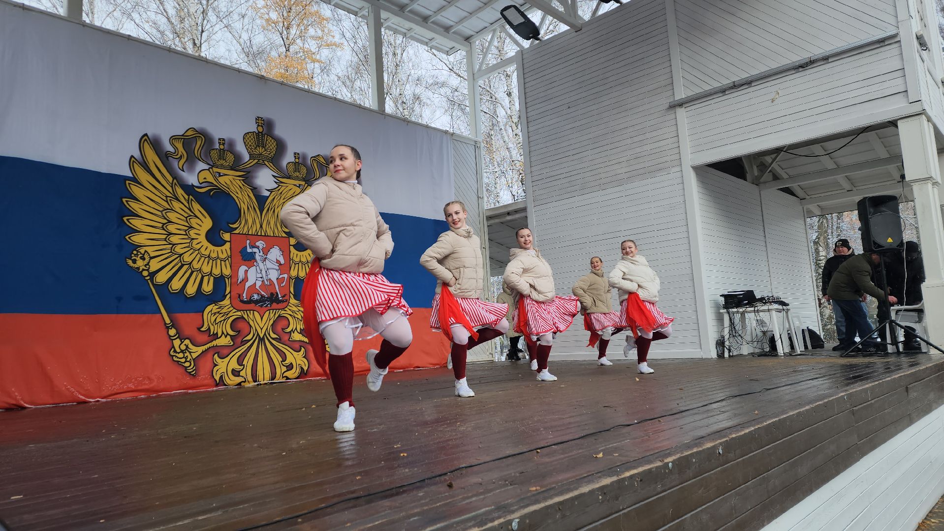 пушкино, центральный парк, праздничный концерт, национальные блюда, русские традиции, казачьи песни, день народного единства, вертикалки,