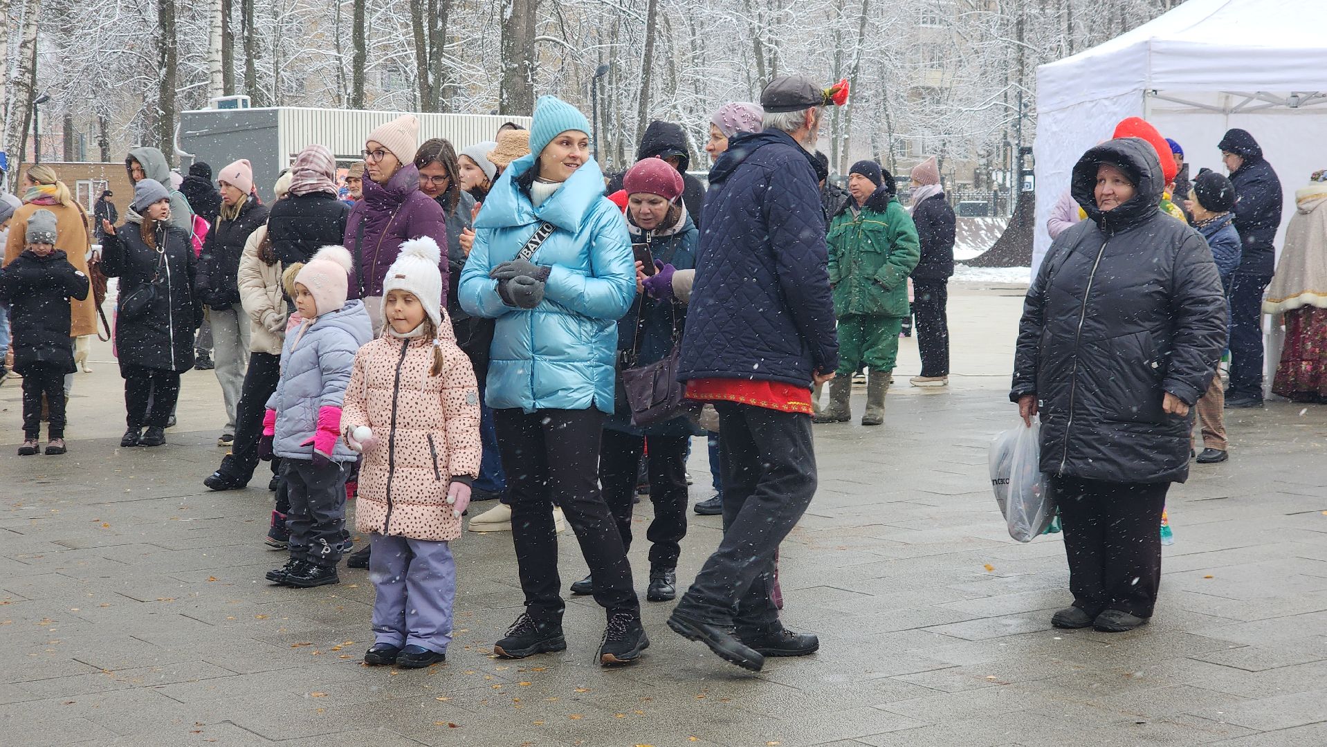 пушкино, центральный парк, праздничный концерт, национальные блюда, русские традиции, казачьи песни, день народного единства, вертикалки,