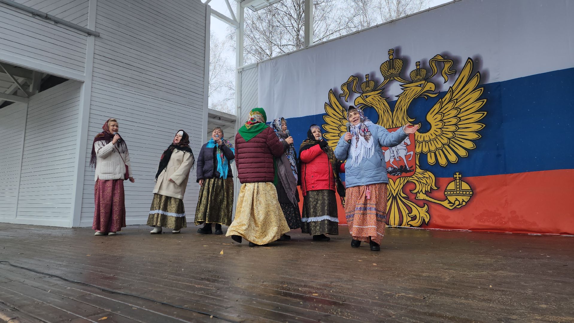 пушкино, центральный парк, праздничный концерт, национальные блюда, русские традиции, казачьи песни, день народного единства, вертикалки,