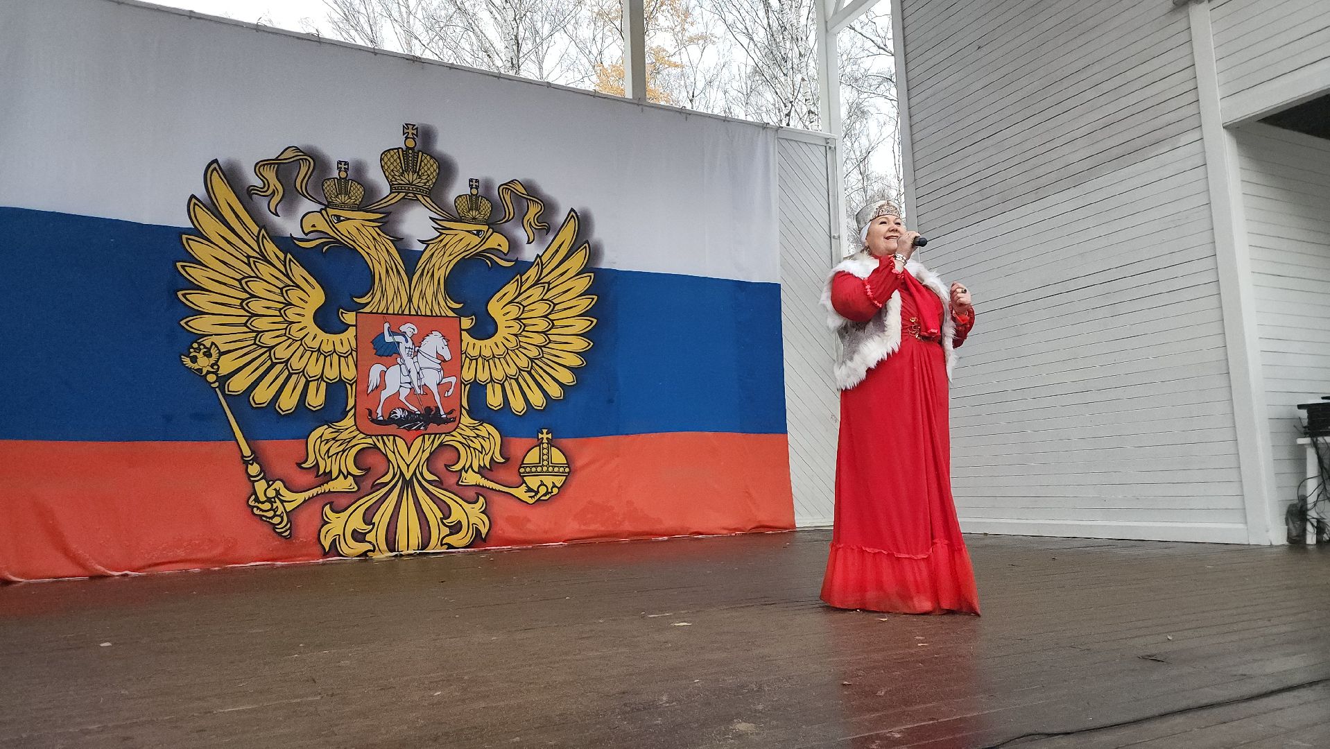 пушкино, центральный парк, праздничный концерт, национальные блюда, русские традиции, казачьи песни, день народного единства, вертикалки,